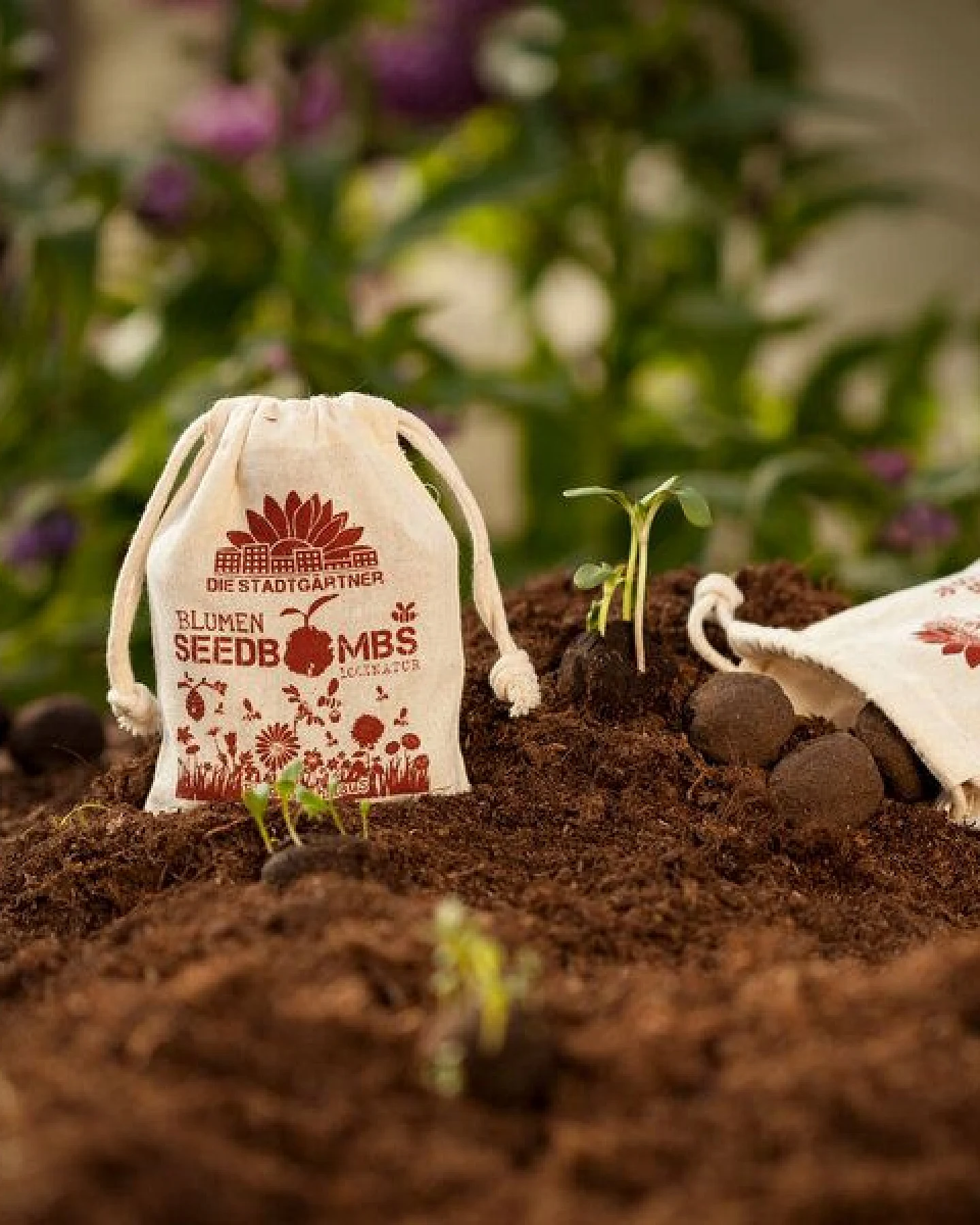 Die Stadtgärtner 8 Seedbombs "Bienenschmaus" im Mini-Jutebeutel – Ansicht 4