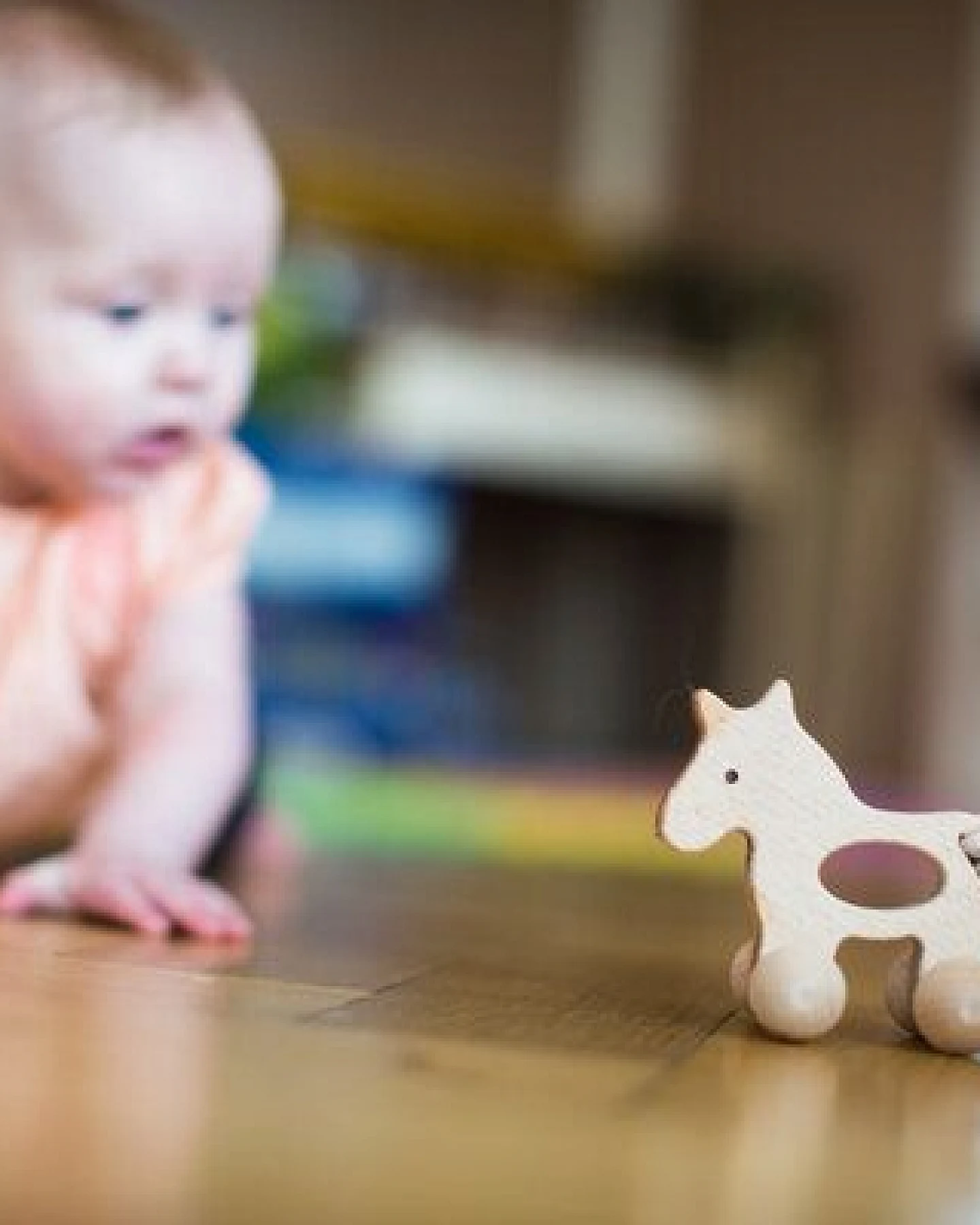 Efie Pony mit Rollen, Made in Germany – Ansicht 2
