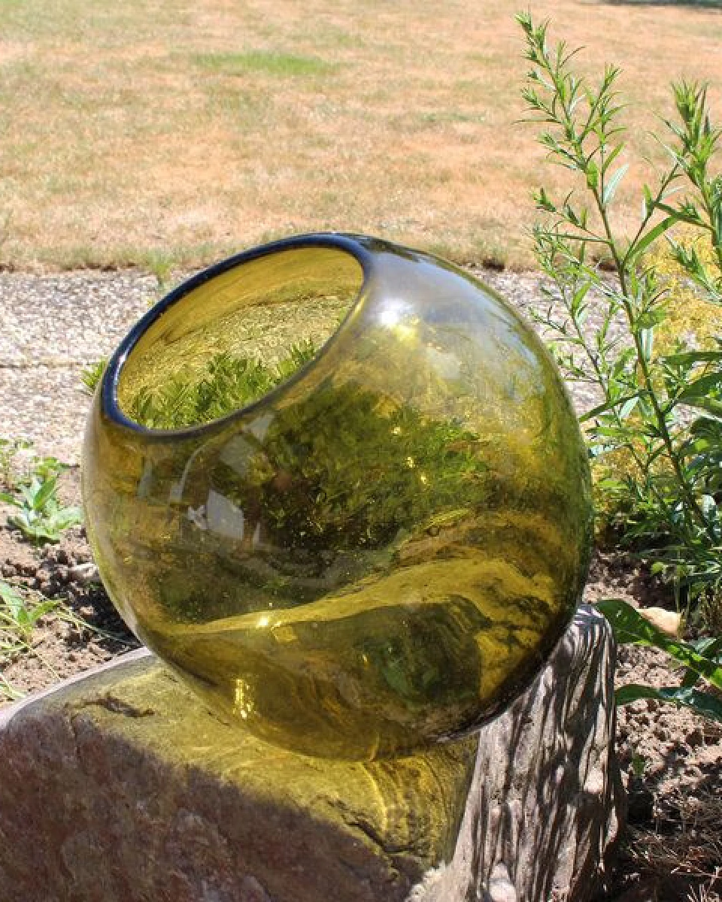 Mitienda Shop Dekovase grün, Terrarium – Ansicht 2