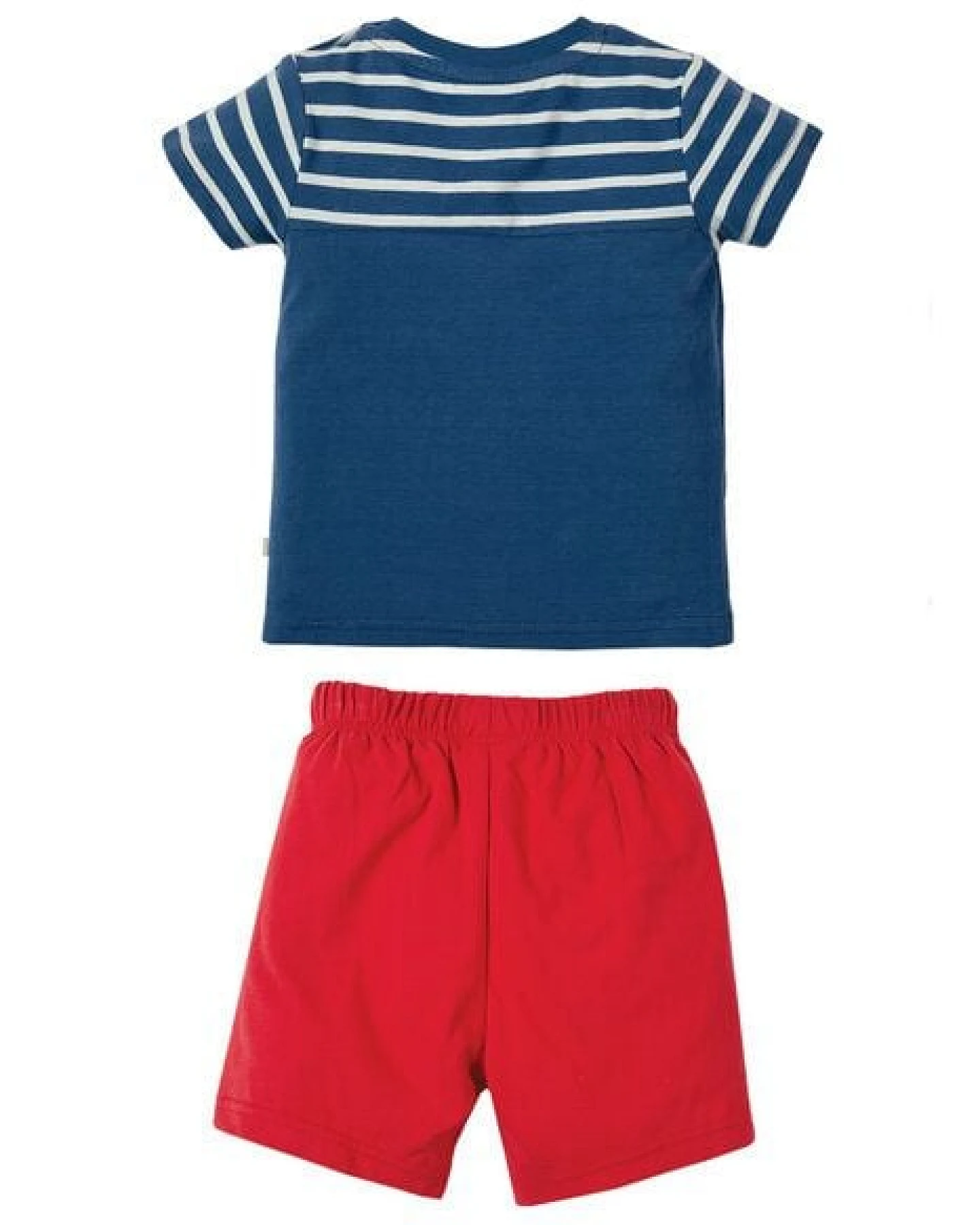 Frugi Sommerkombi: T-shirt und kurze Hose mit Schildkröte – Ansicht 3