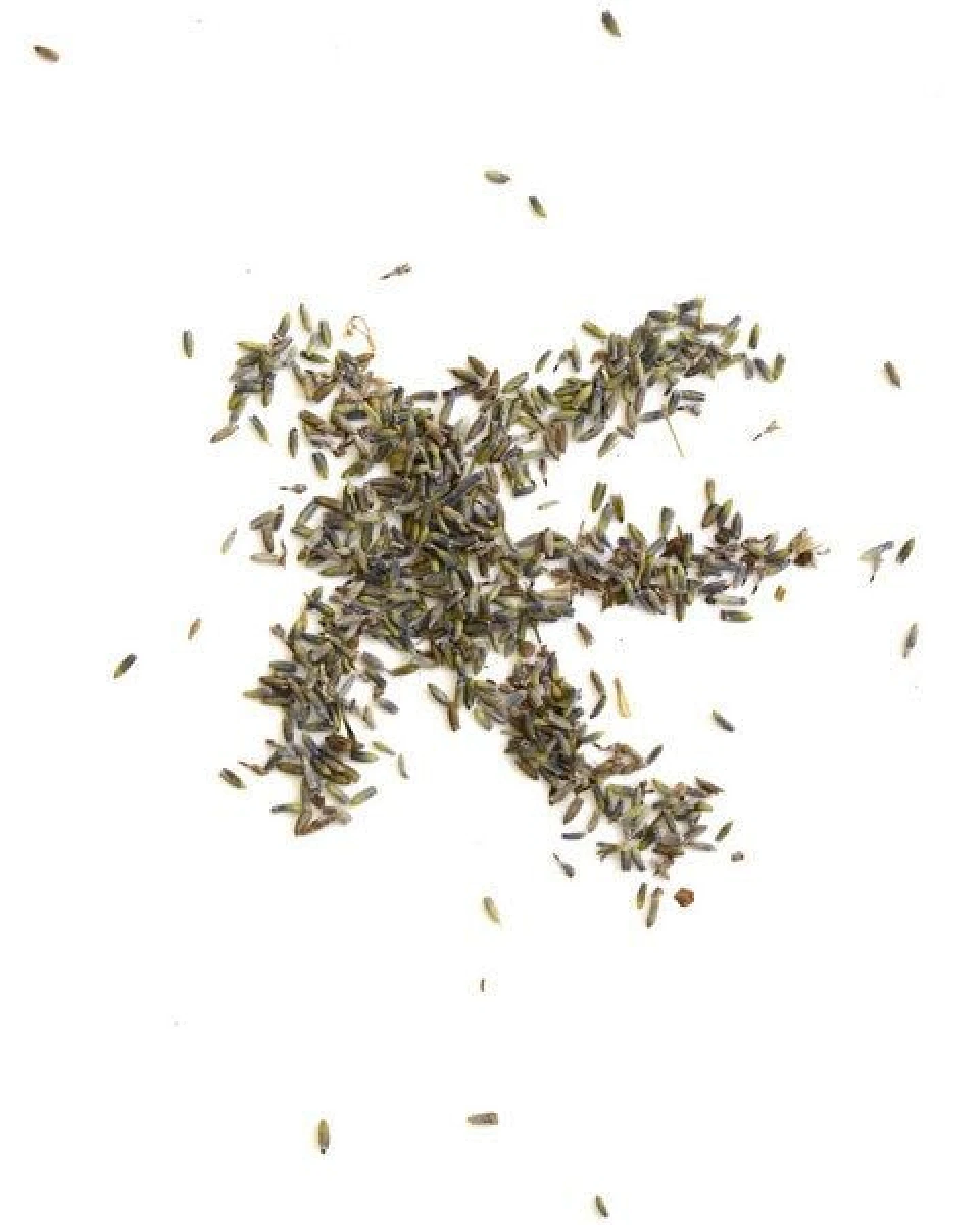 Lou-i Lavendelkissen bio Leinen Made in Germany Frischer Lavendelduft – Ansicht 3