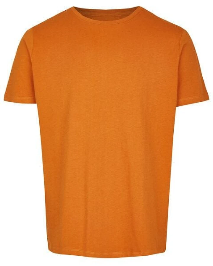 Brandless Basic Bio T-Shirt Rundhals (men) Nr.2