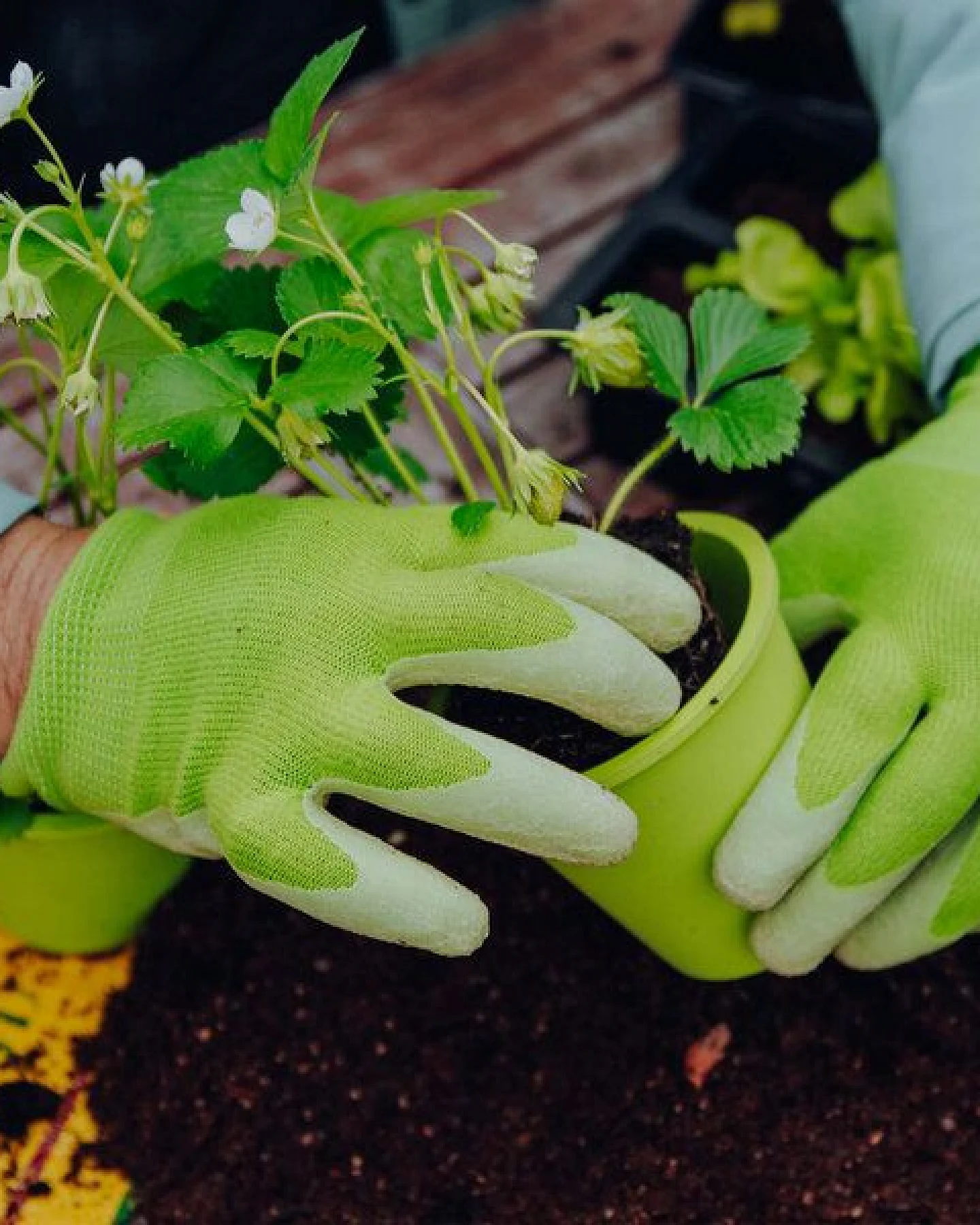 Fair Zone Gartenhandschuhe – Ansicht 2