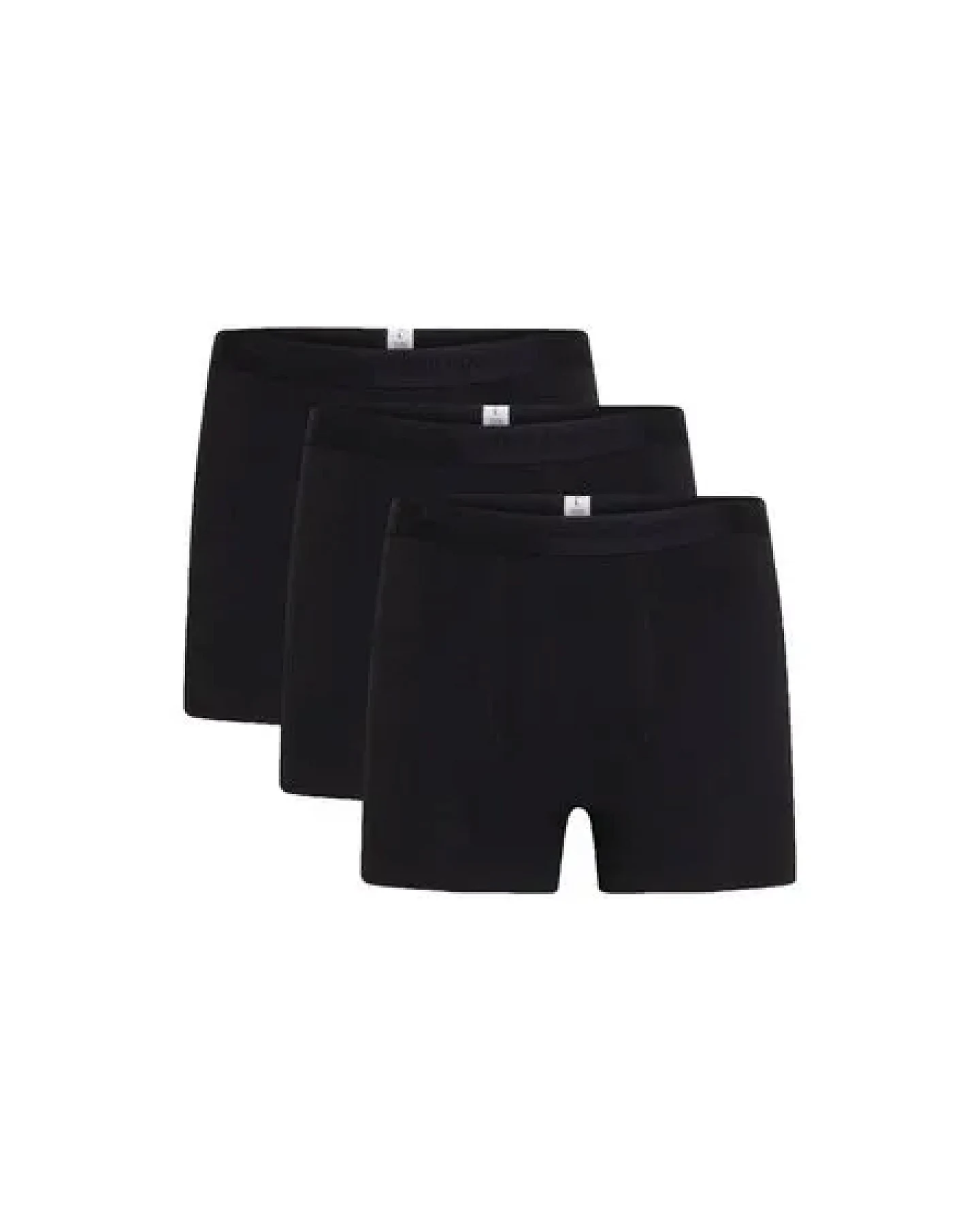 KnowledgeCotton Apparel 3er Pack Boxershorts - solid colored underwear – Ansicht 2
