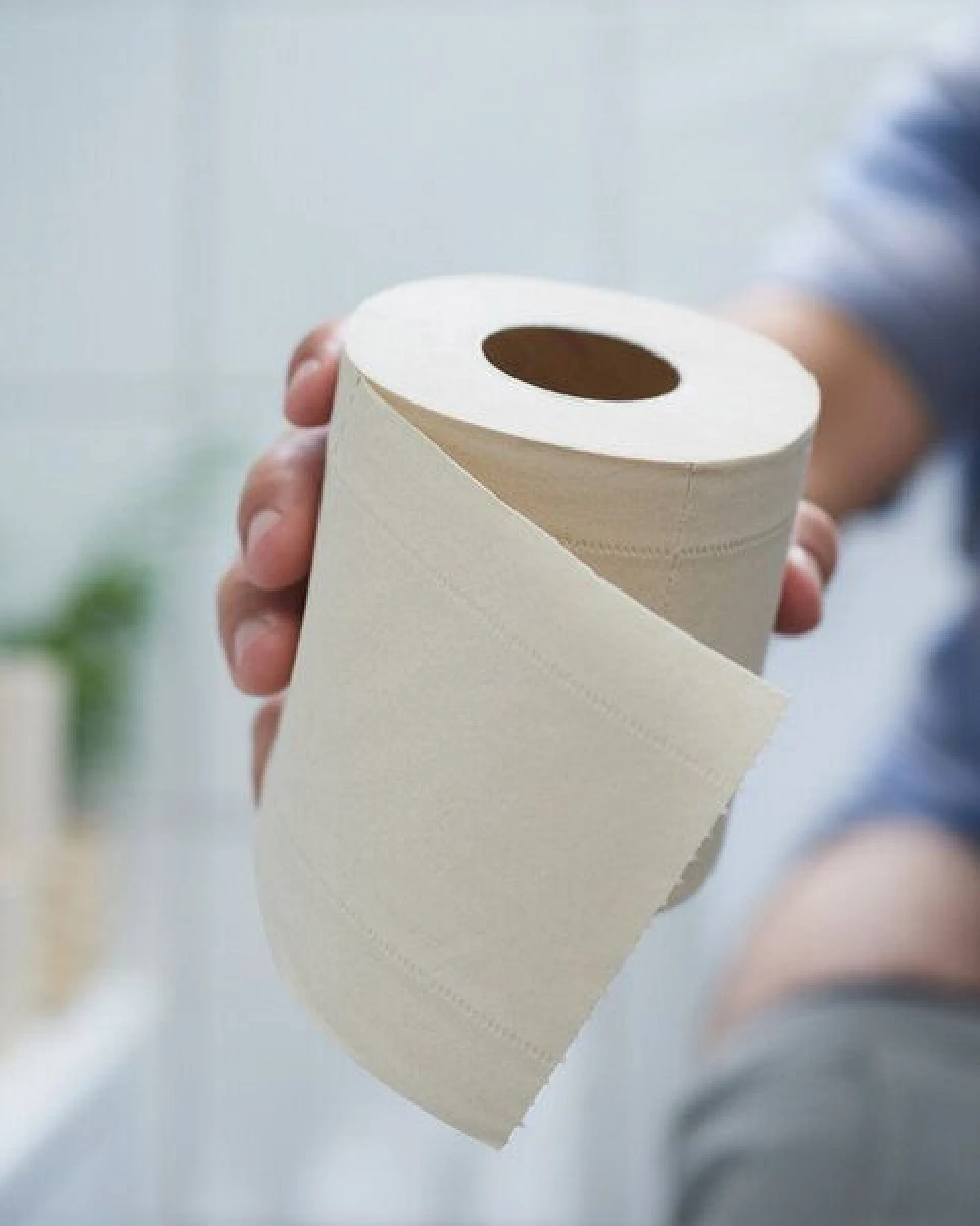 Pandoo Bambus Toilettenpapier - 8 Rollen á 200 Blatt - 3-lagig – Ansicht 3