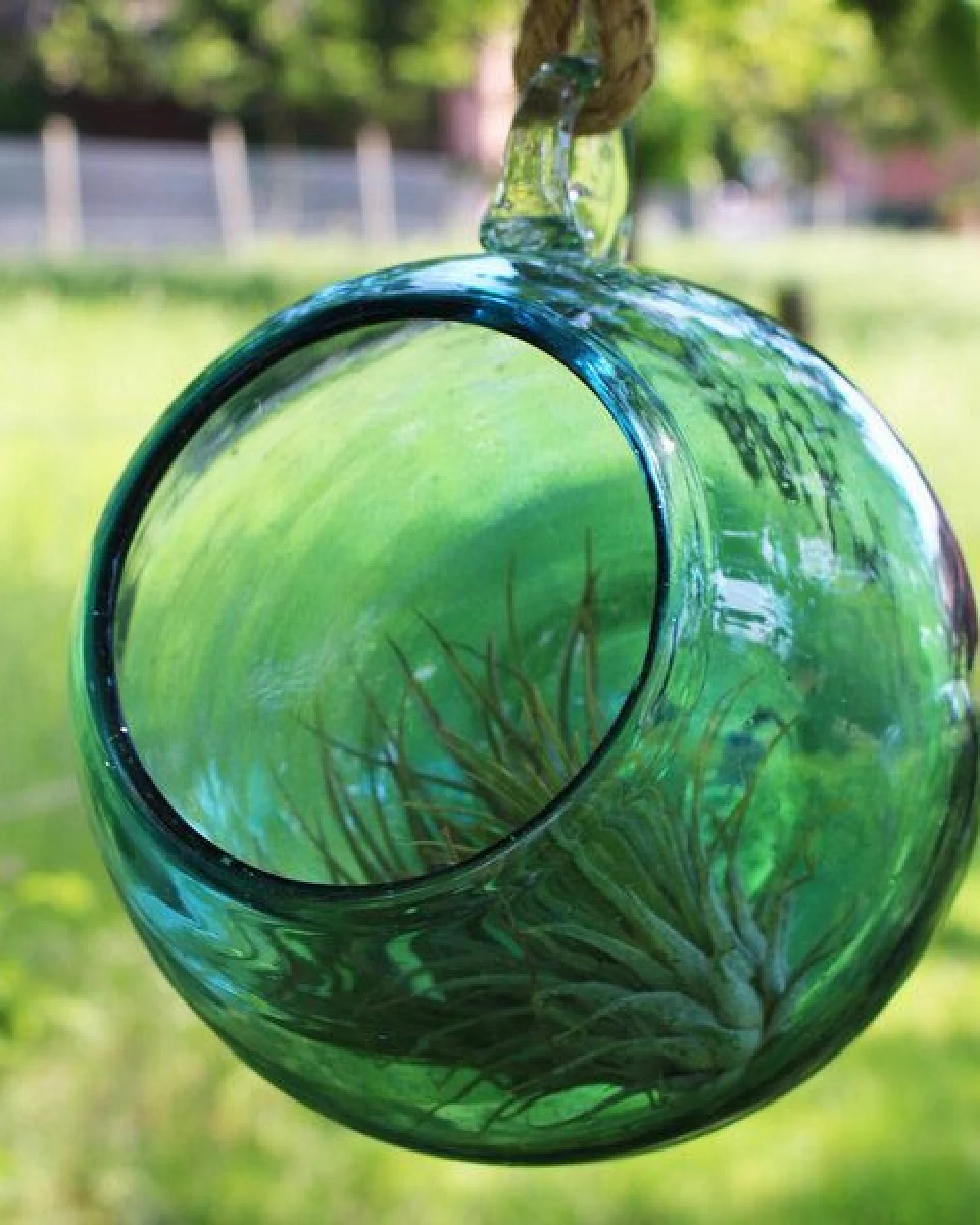 Mitienda Shop Dekovase Esfera aqua – Ansicht 2