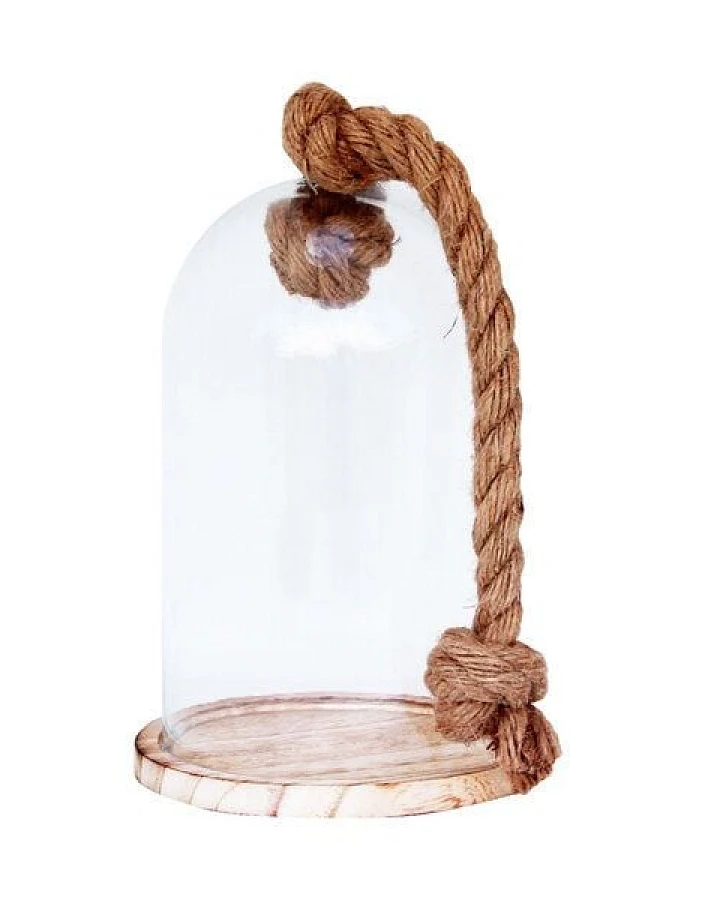 Mitienda Shop Glocke mit Holzteller