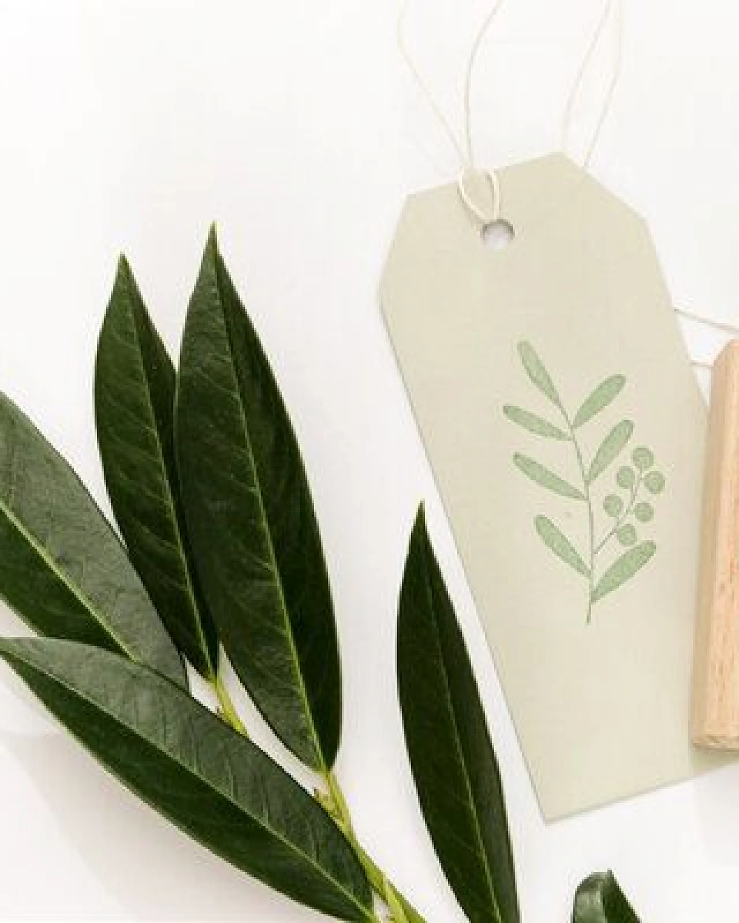 STUDIO KARAMELO STEMPEL ZWEIGE, verschiedene Motive – Ansicht 2