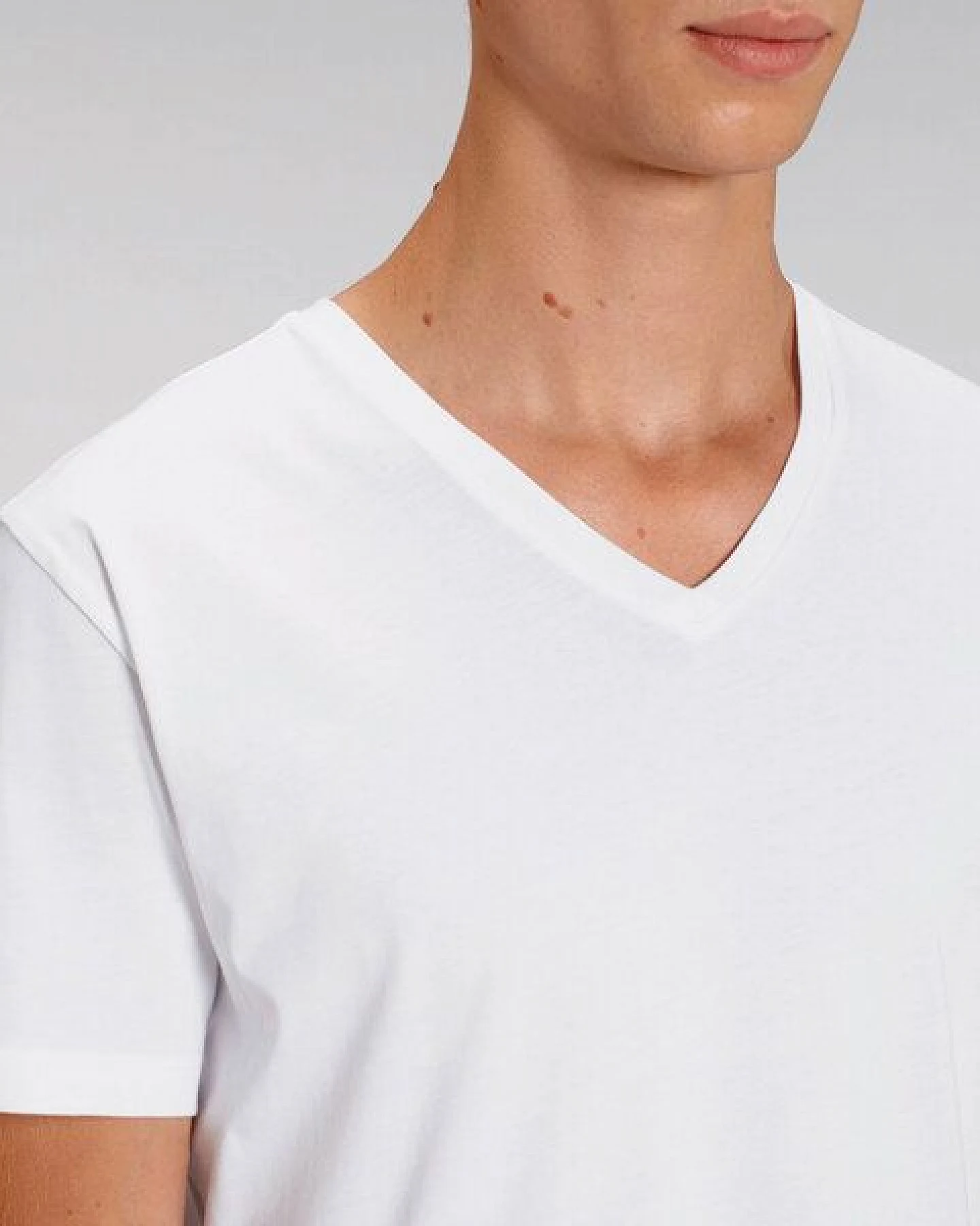 Human Family Bio Herren V-Neck T-Shirt "Geometric Questionmark" in 3 Farben – Ansicht 2