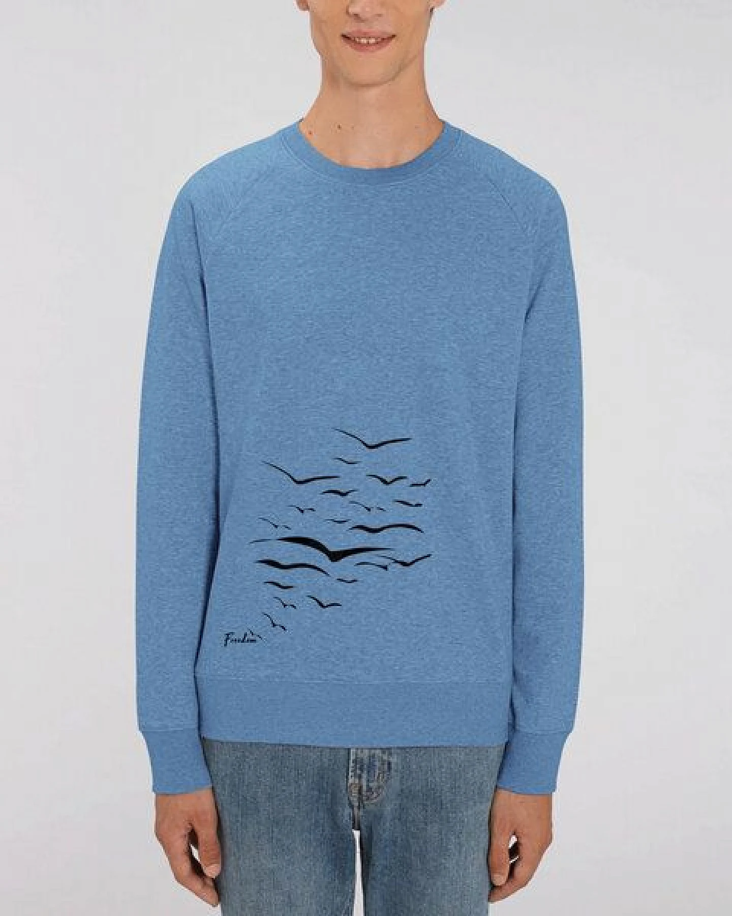 Human Family Bio Herren Sweatshirt "Practice - Free Birds" in 5 Farben – Ansicht 3