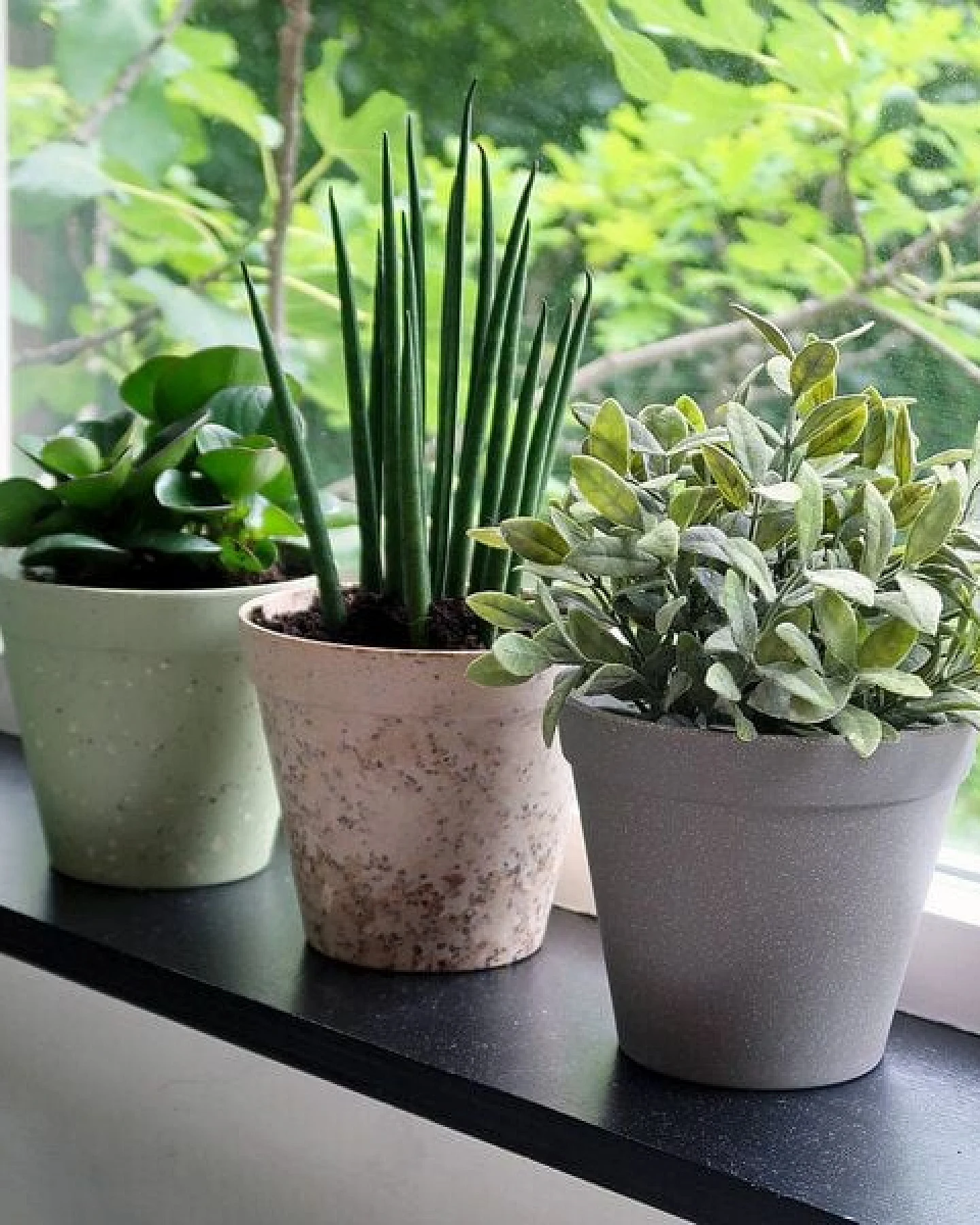 Pretty Things Übertopf Jungle Fever aus Weizenstroh & Bambusfasern – Ansicht 3