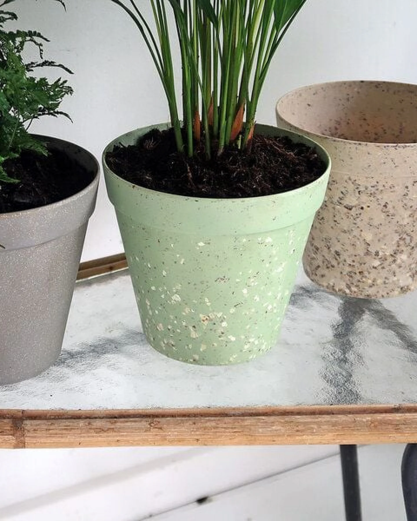 Pretty Things Übertopf Jungle Fever aus Weizenstroh & Bambusfasern – Ansicht 3