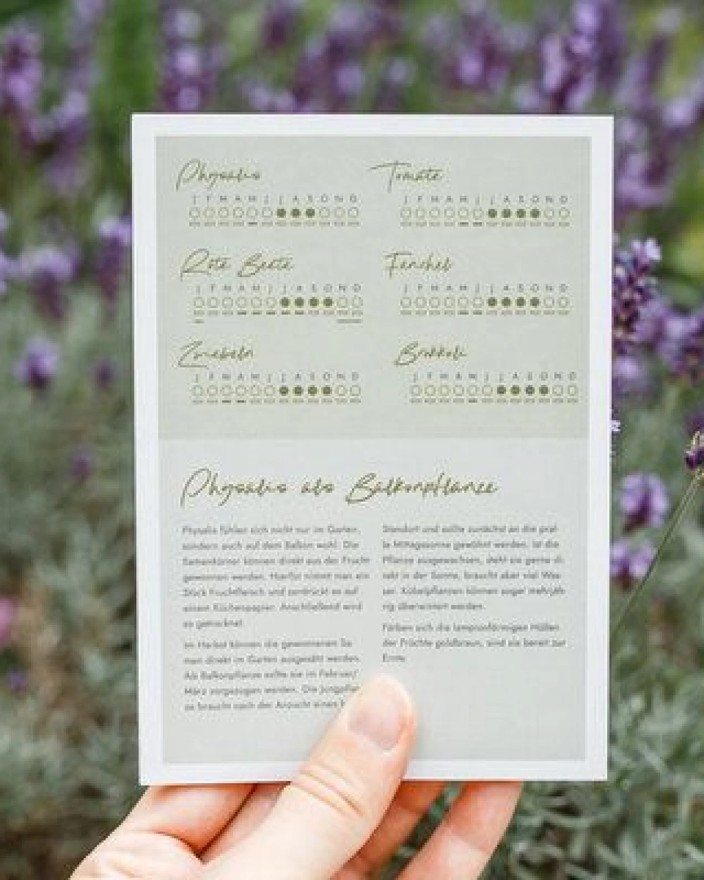 klotzaufklotz Saisonkalender – Ansicht 4
