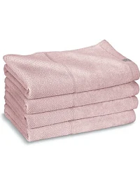 Soft Rose