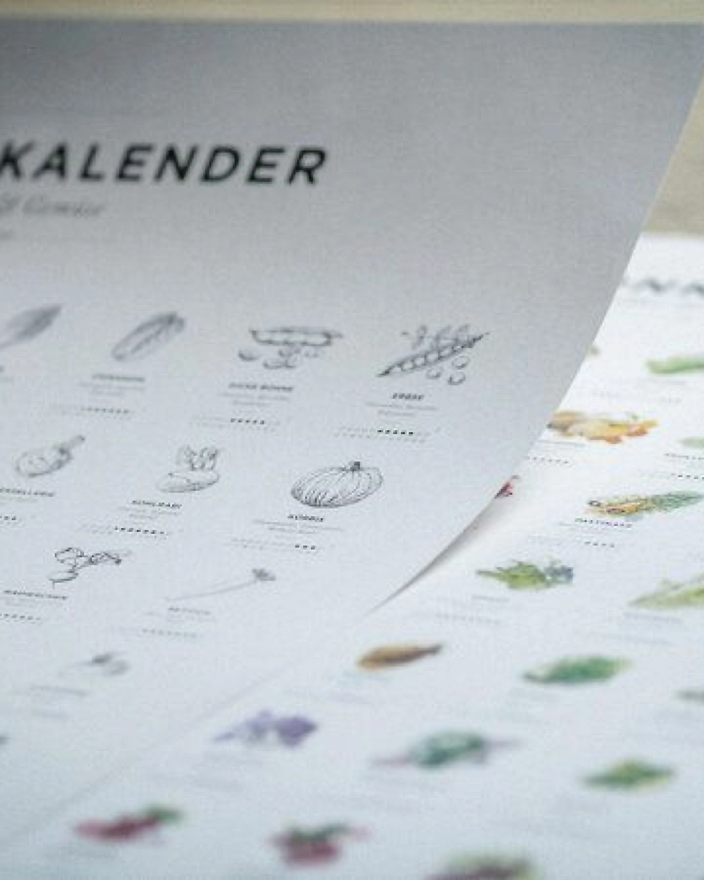 531 Rheinland Design Saisonkalender Obst & Gemüse, Poster/Plakat in SW, Küchendeko – Ansicht 3