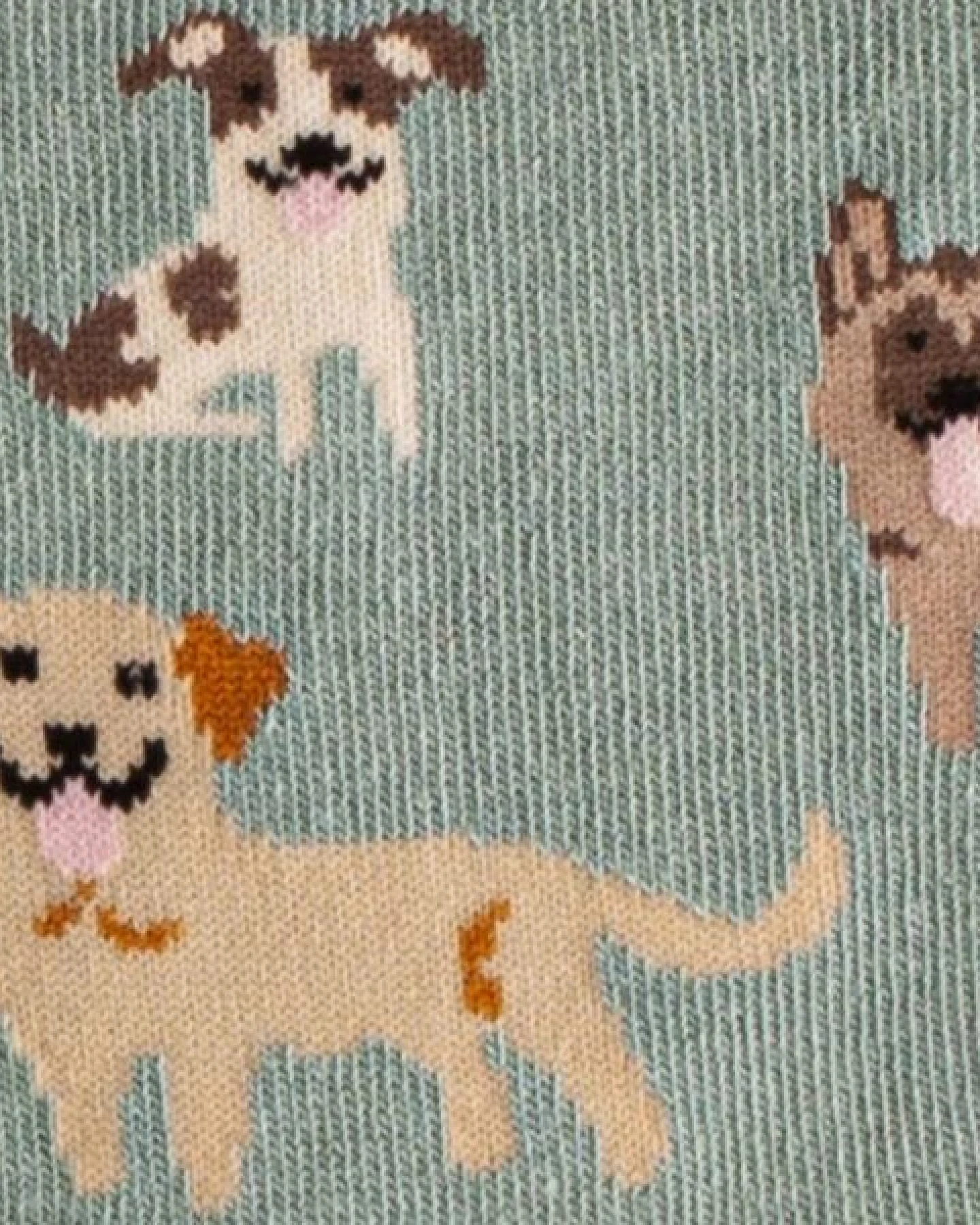 DillySocks Socken - Doggy Dog – Ansicht 4