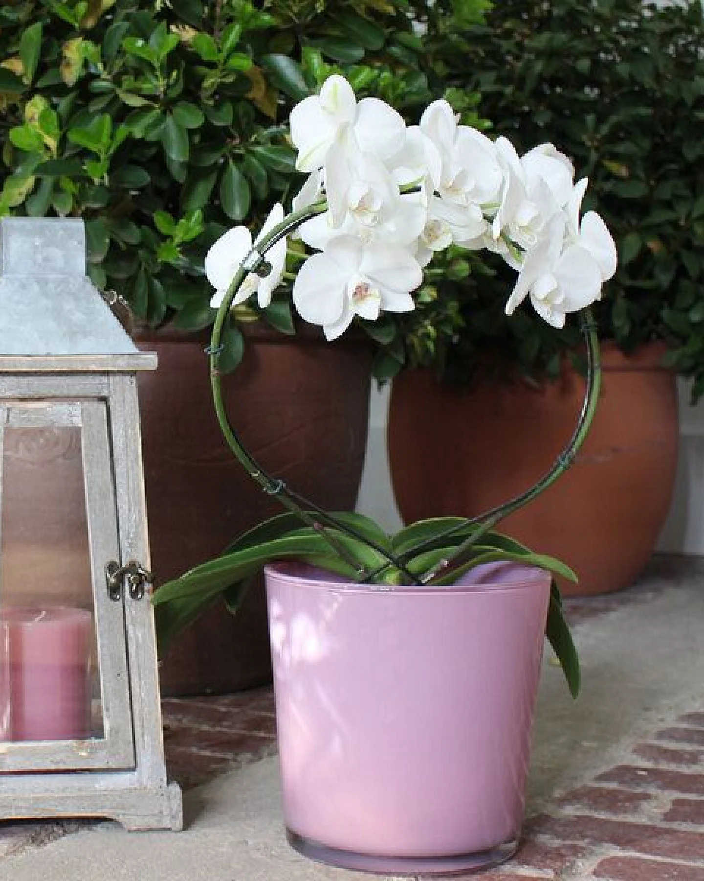 Mitienda Shop Dekovase Conner, Vase altrosa, Blumentopf – Ansicht 2