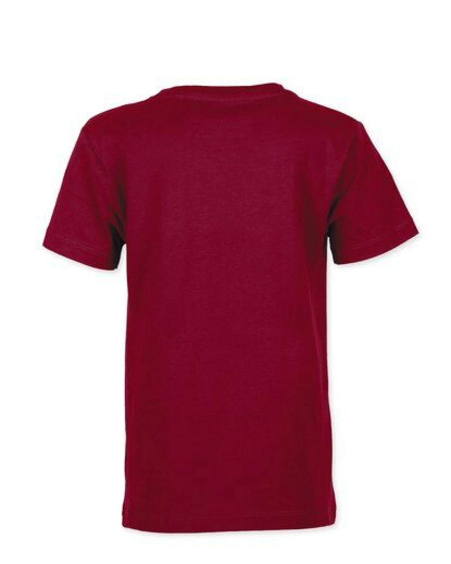 Band of Rascals Basic T-Shirt – Ansicht 2