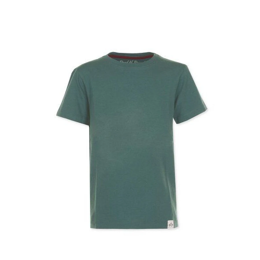 Cilantro-Green