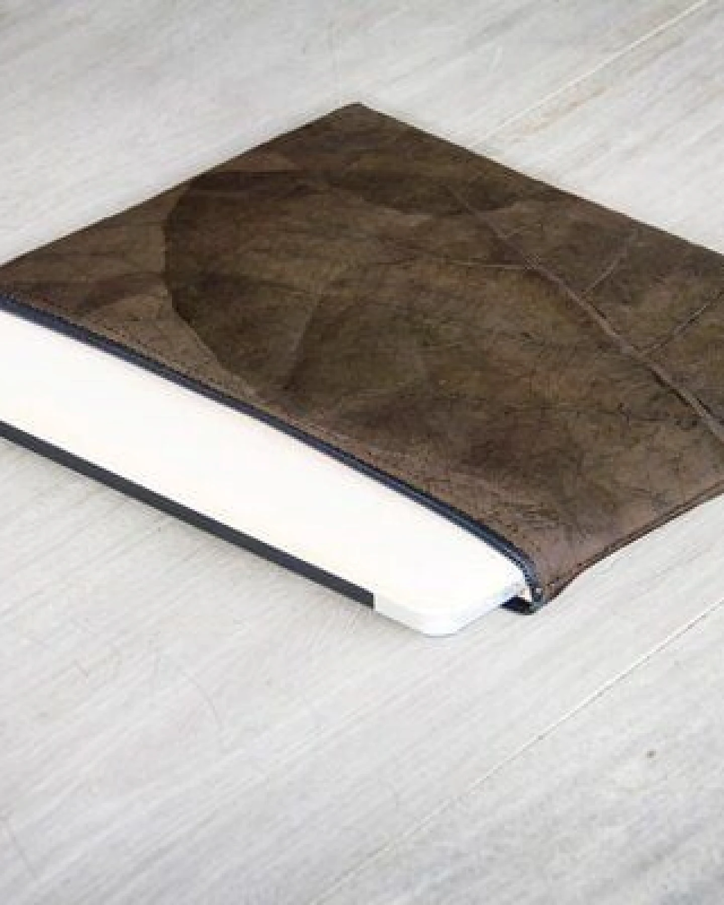 BY COPALA Nachhaltige 15–16 Zoll Laptoptasche aus Teak-Blattleder – Ansicht 3