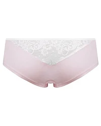 Zartrosa (Rosa)