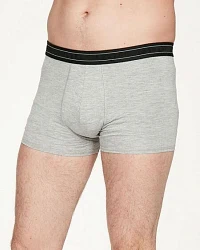 Produktseite: Thought Arthur Plain Bambus Boxers einfarbig