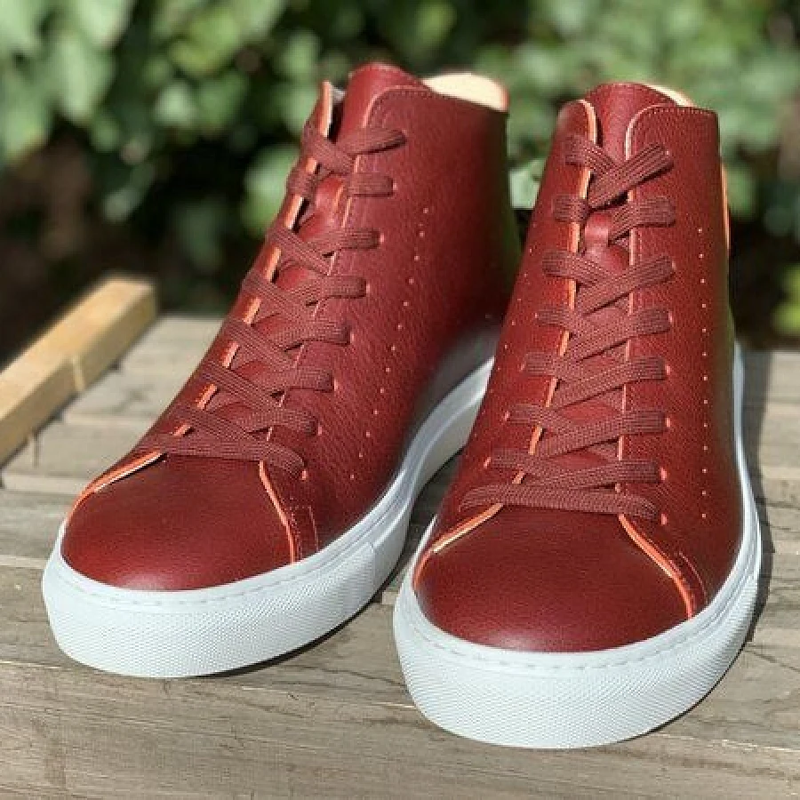 Rot