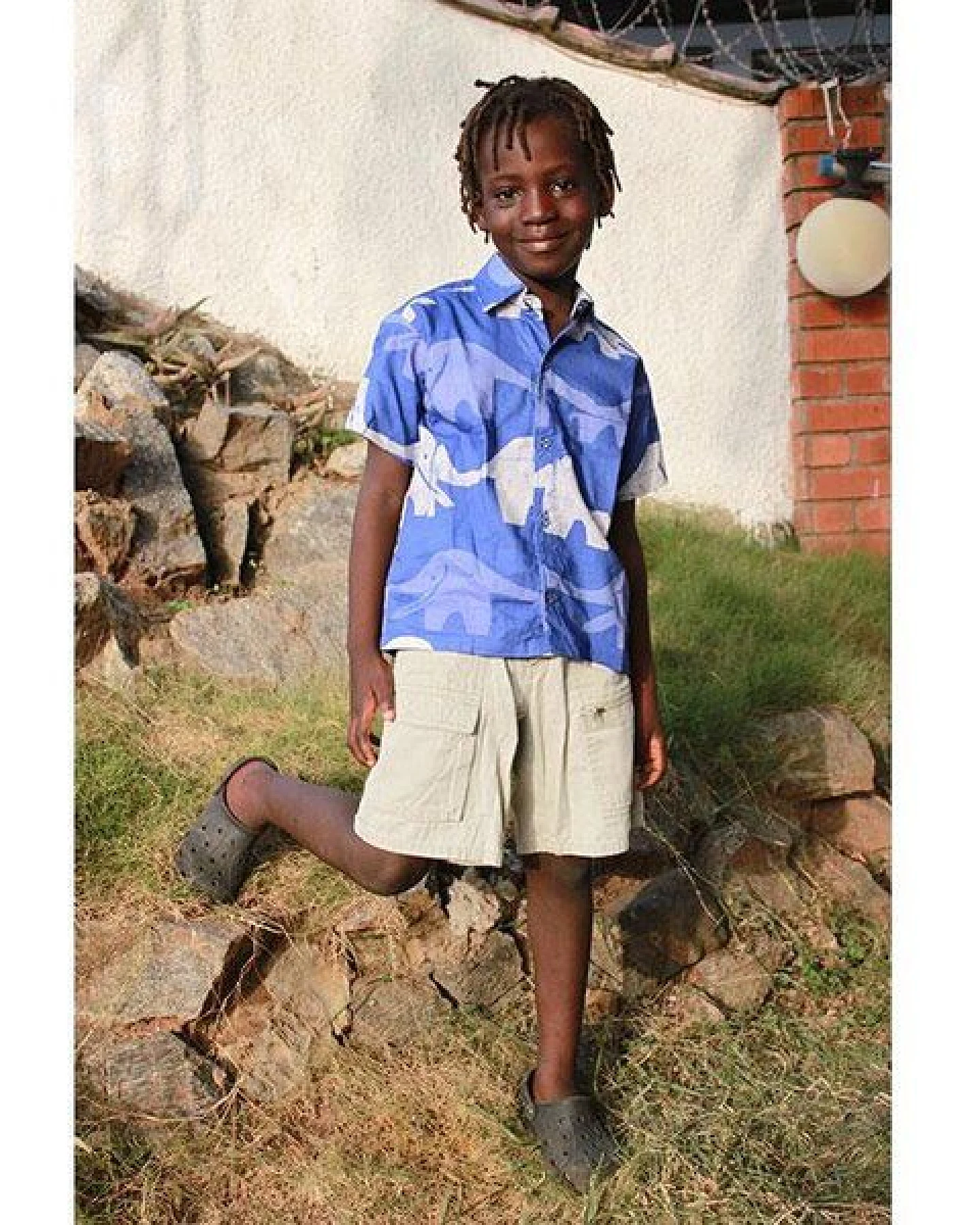 Global Mamas Bio Hemden für Jungs - Button Down Shirt - Elephants & Turtles – Ansicht 3