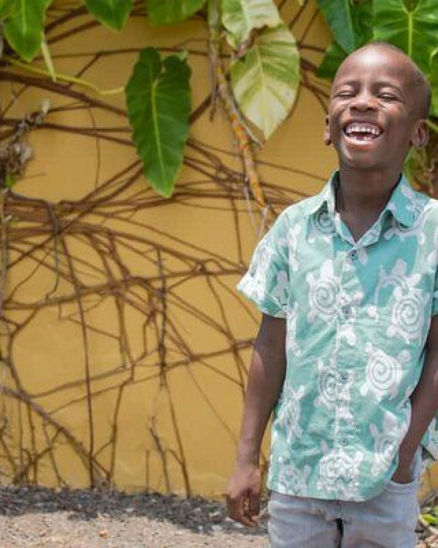 Global Mamas Bio Hemden für Jungs - Button Down Shirt - Elephants & Turtles – Ansicht 2