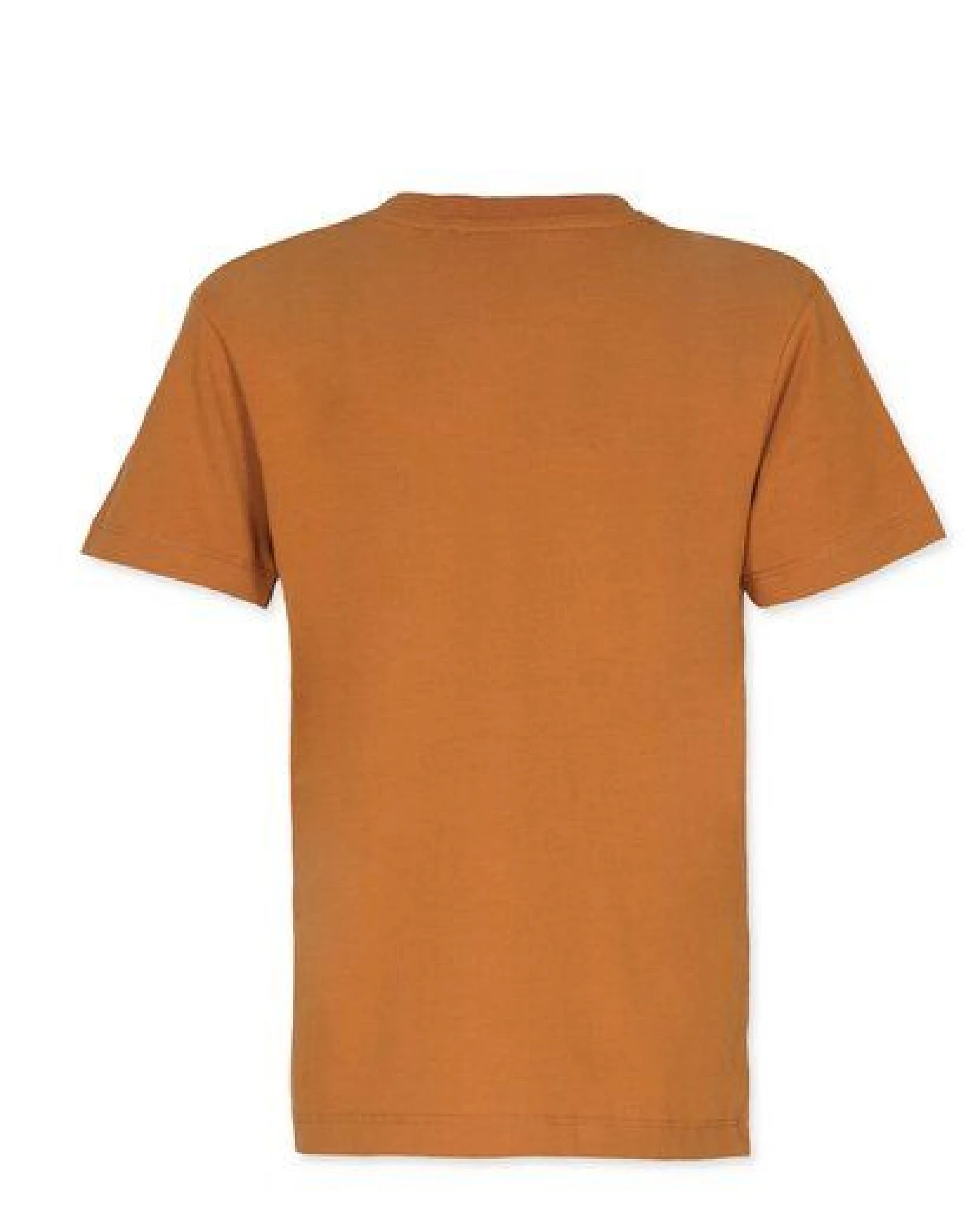 Band of Rascals Tiger Style T-Shirt – Ansicht 2