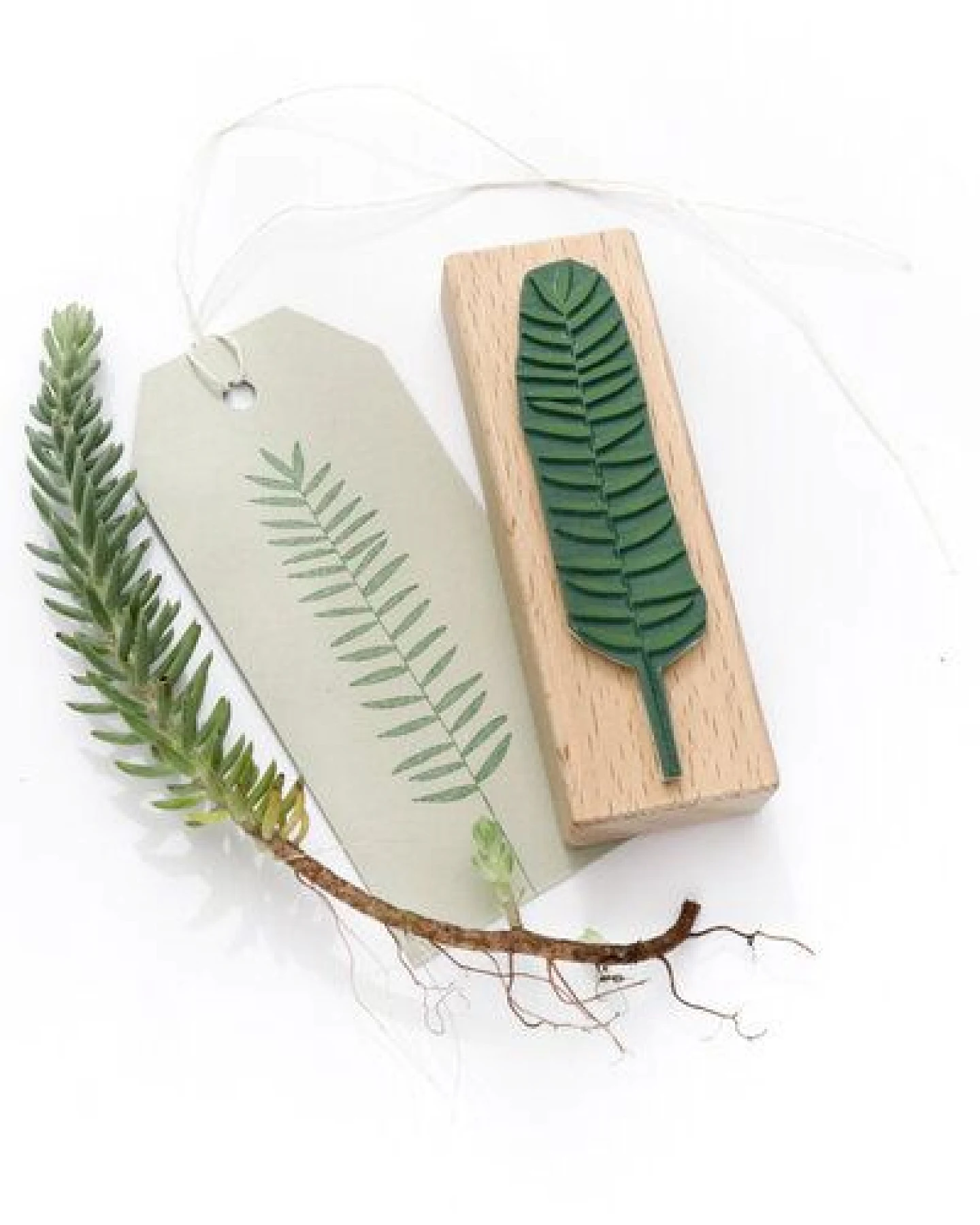 STUDIO KARAMELO STEMPEL Farn, verschiedene Motive – Ansicht 3