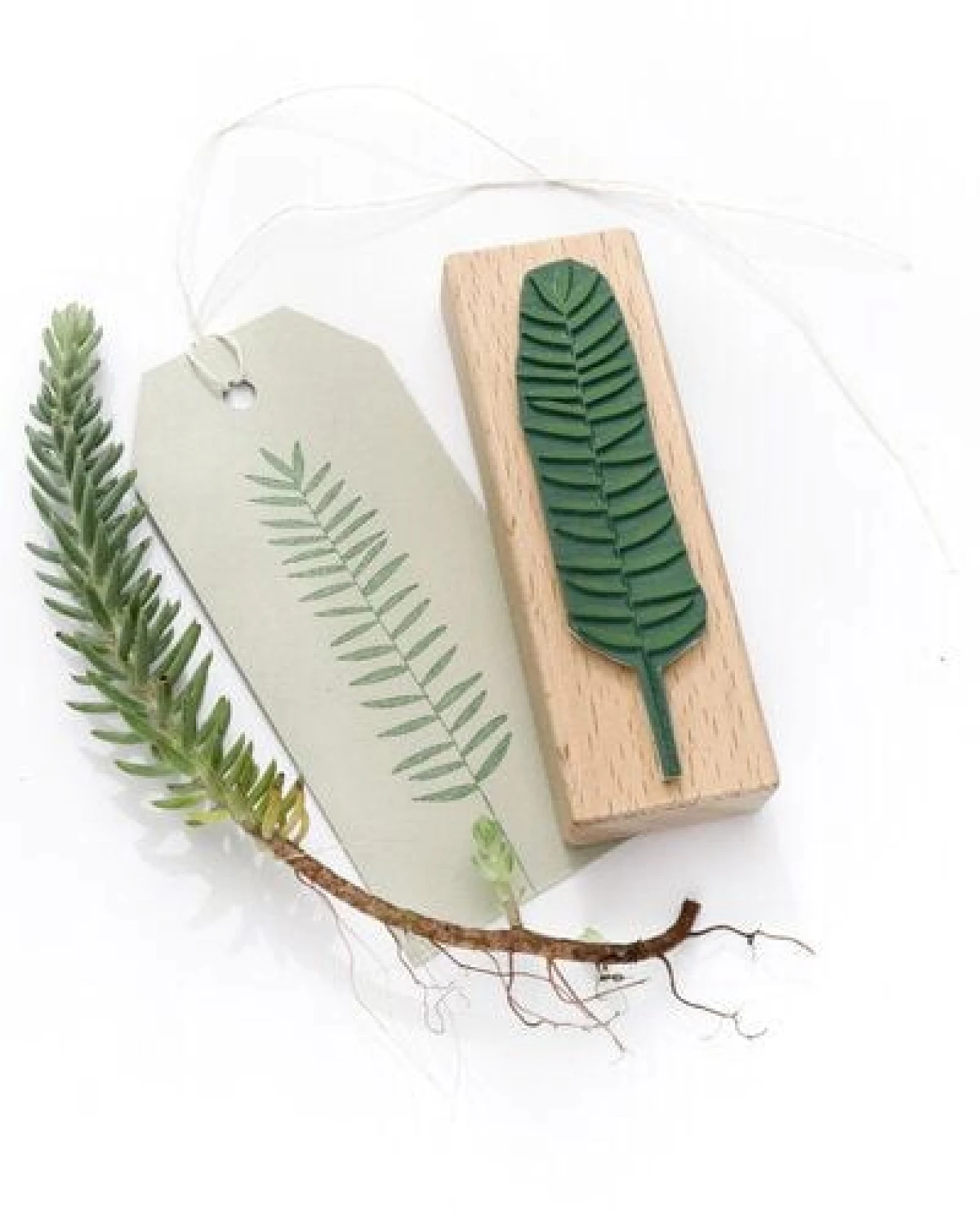 STUDIO KARAMELO STEMPEL Farn, verschiedene Motive – Ansicht 3