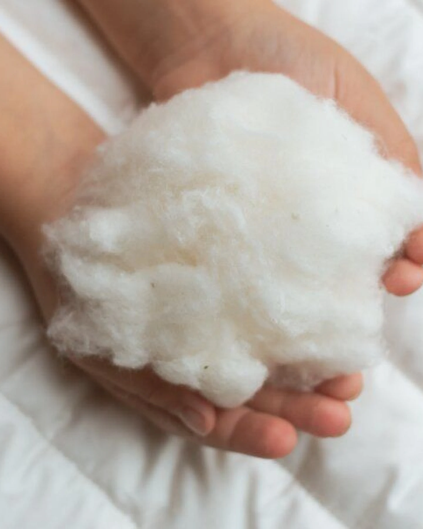 murmunto organics Bio-Kinderkopfkissen aus Bio-Baumwolle GOTS "Cotton Top" – Ansicht 3
