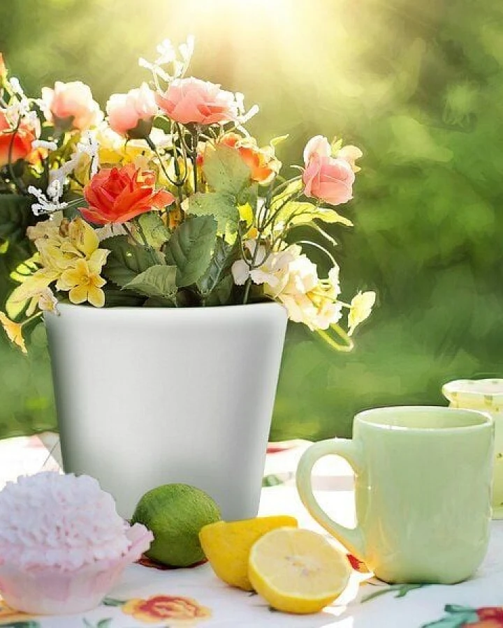 NATUREHOME Blumentopf Übertopf Keramik Weiß Anthrazit