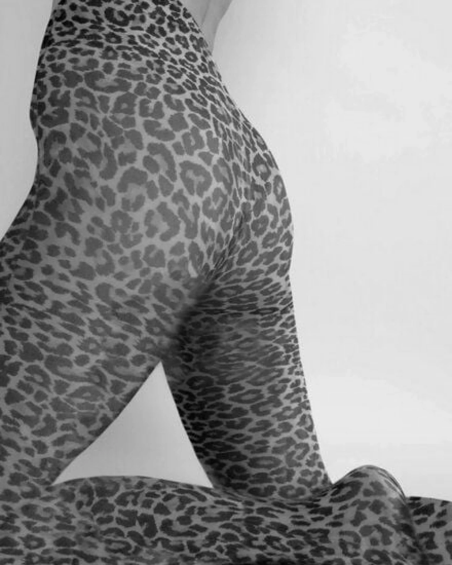 Swedish Stockings Sofia Leo Strumpfhosen schwarz, braun – Ansicht 4