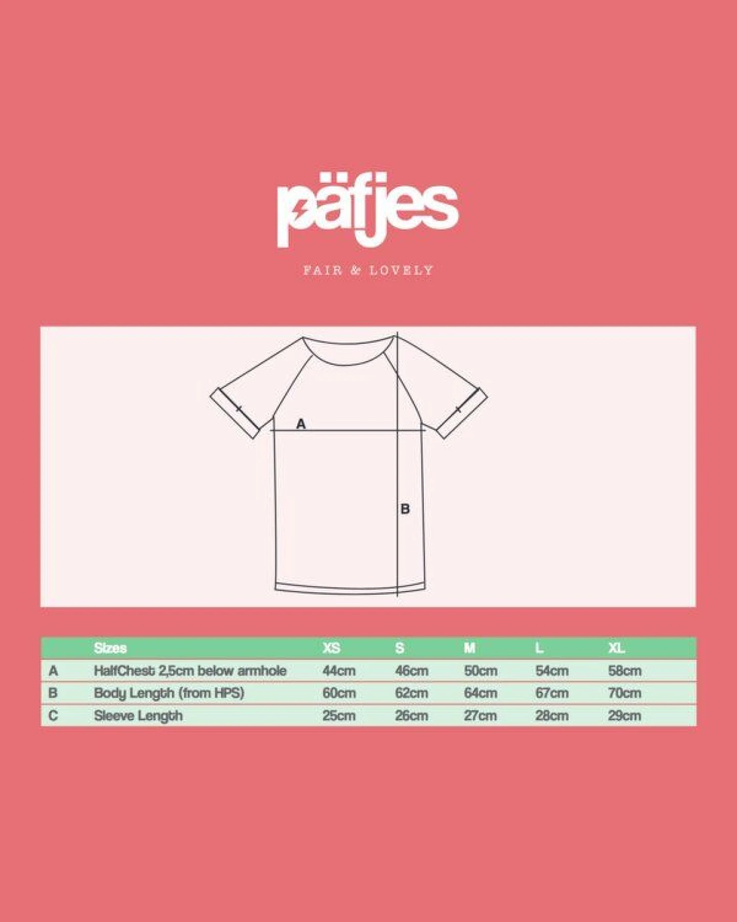 päfjes Basic - Fair gehandeltes Rolled Sleeve Frauen T-Shirt - Modal – Ansicht 3