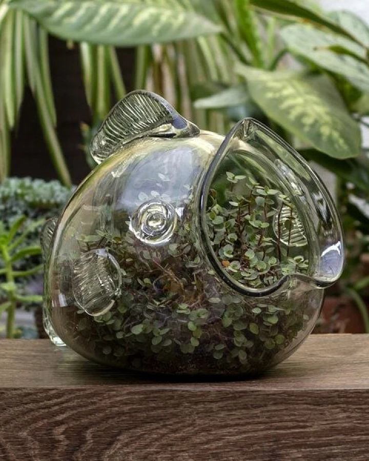 Mitienda Shop Blumentopf Fisch, Terrarium