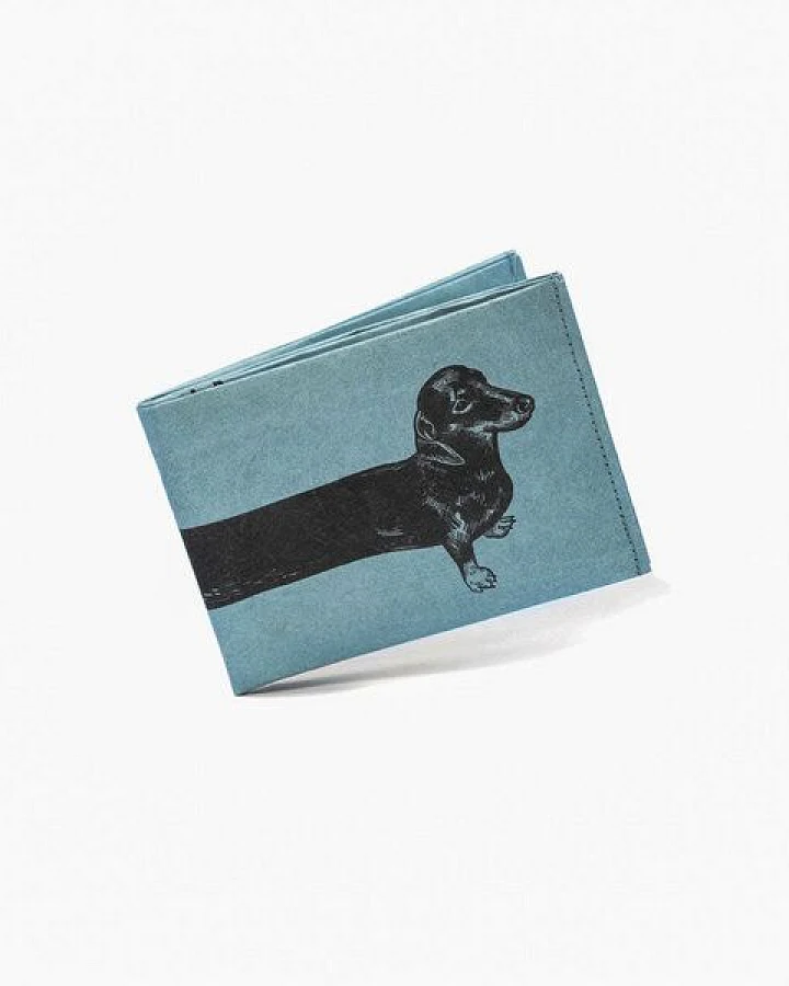 Sausage Dog (Blau Schwarz)