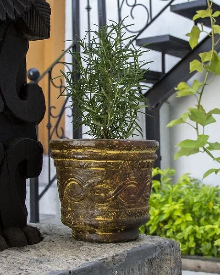 Mitienda Shop Blumentopf Vaso Azteca