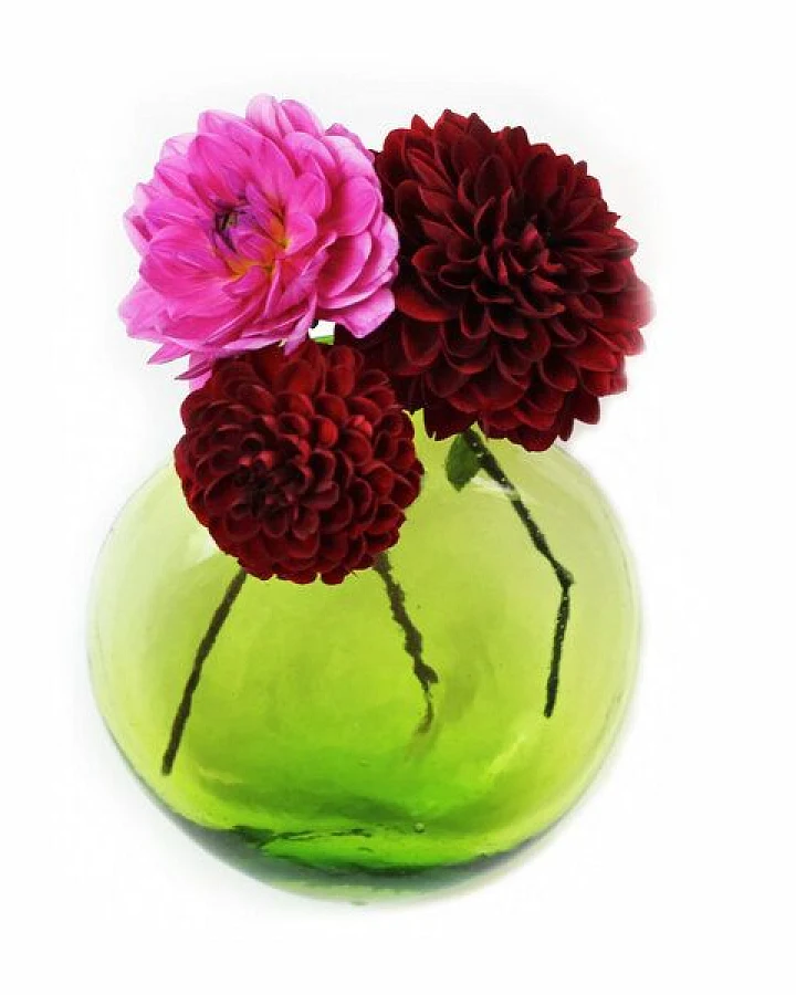 Mitienda Shop Blumenvase zum Aufhängen, Wanddeko Anfora