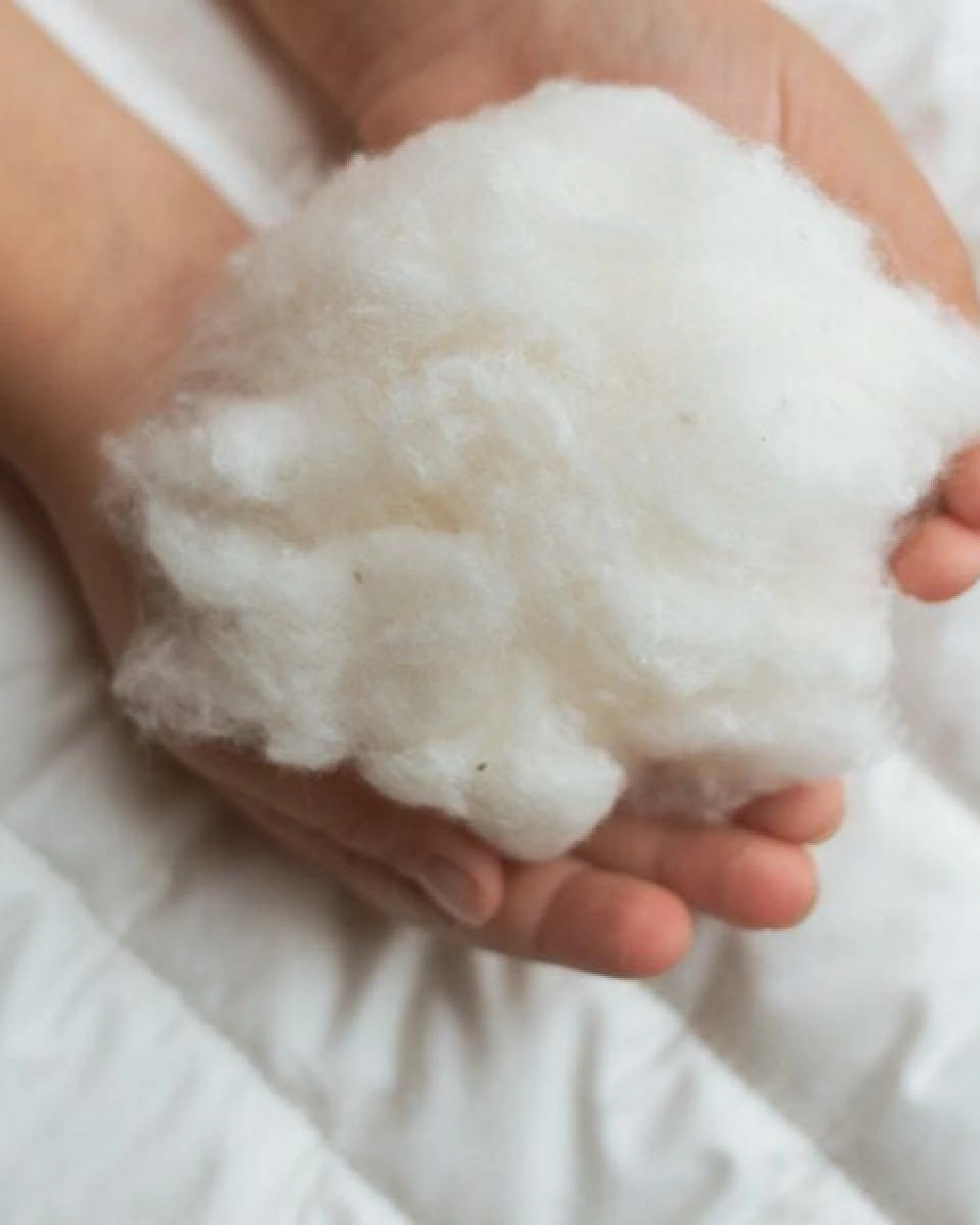 murmunto organics Bio-Bettdecke aus GOTS-Baumwolle (kbA) "Cotton Cover" – Ansicht 3