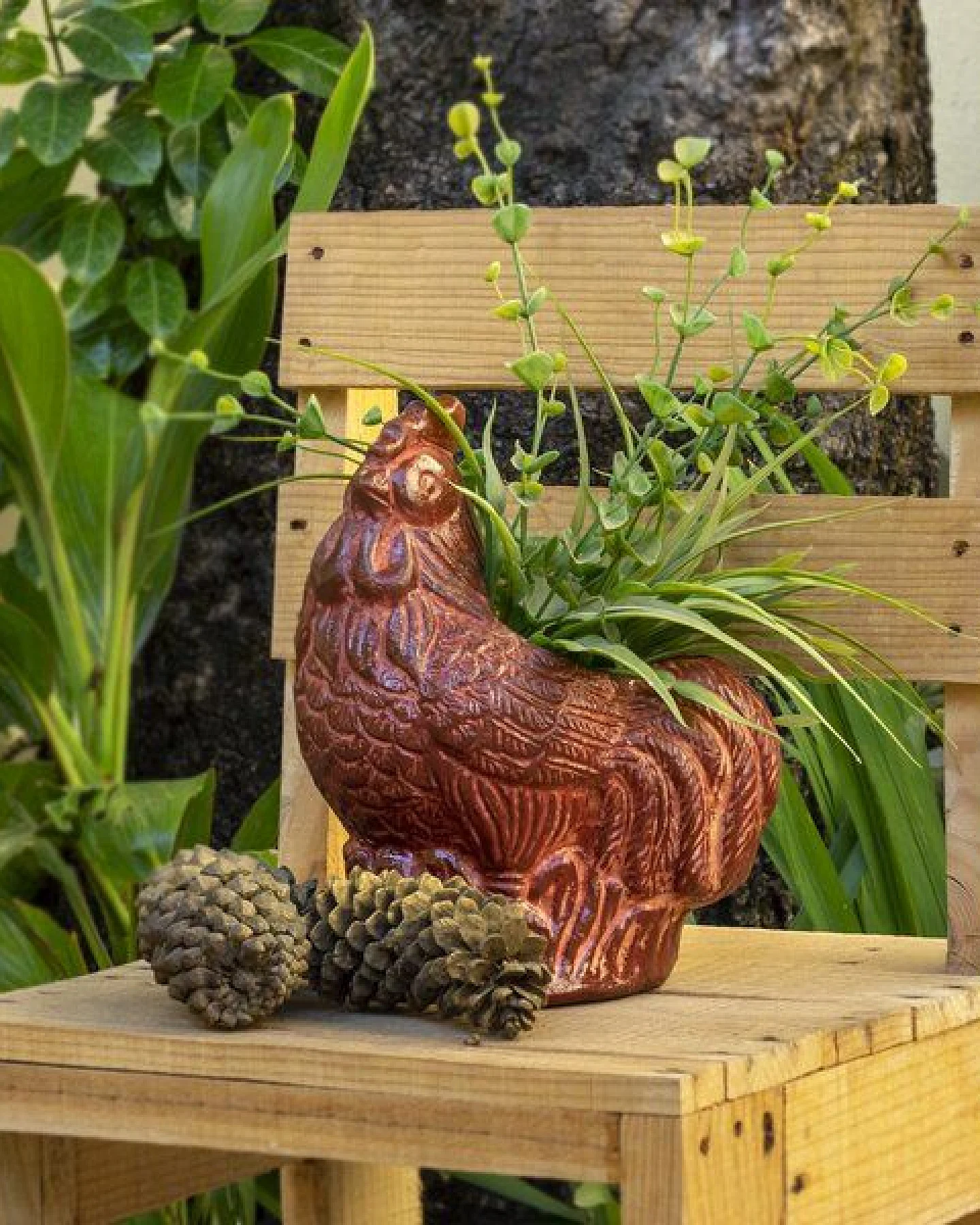 Mitienda Shop Blumentopf aus Ton Hahn indoor & outdoor – Ansicht 2