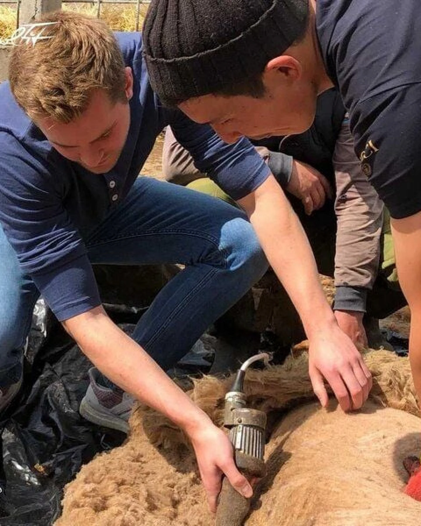 WoolFit Extra dicke Filz-Einlagen aus 100% Wolle 7mm Einlegesohlen – Ansicht 4