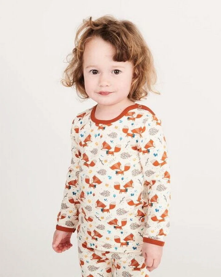Cheeky Apple Langarm Baby-Shirt aus Bio-Baumwolle "Fuchs & Igel"