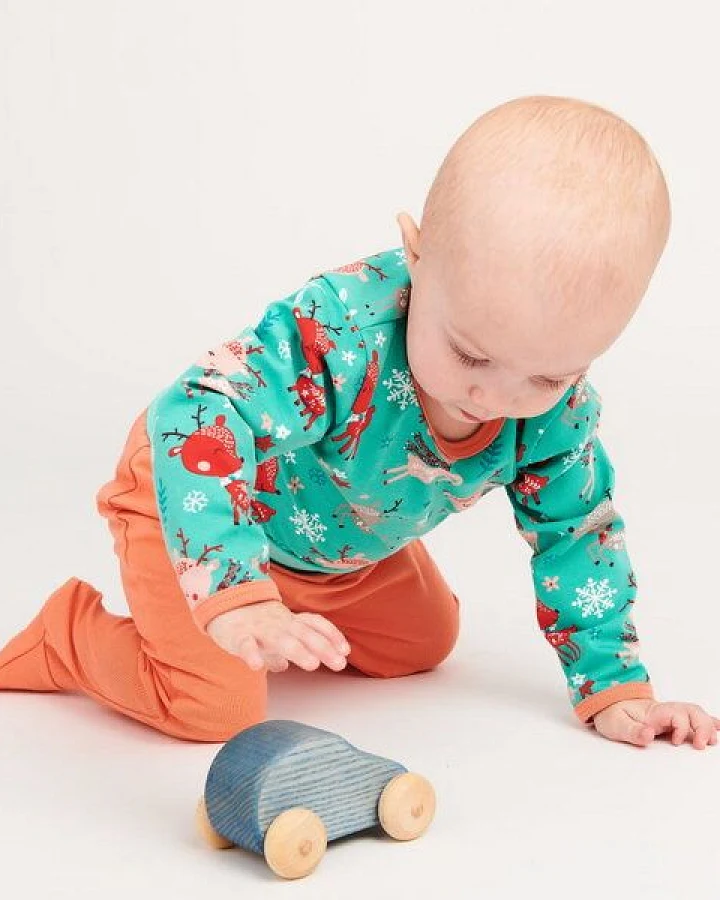 Cheeky Apple Langarm Baby-Shirt aus Bio-Baumwolle "Winterreh"
