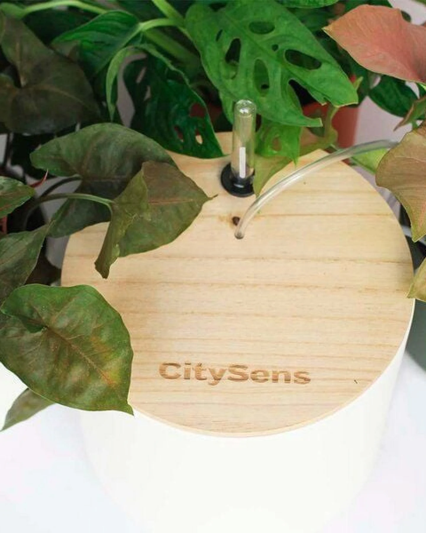 CitySens Blumenregal mit 4 Ablagen und automatischer Bewässerung. – Ansicht 3