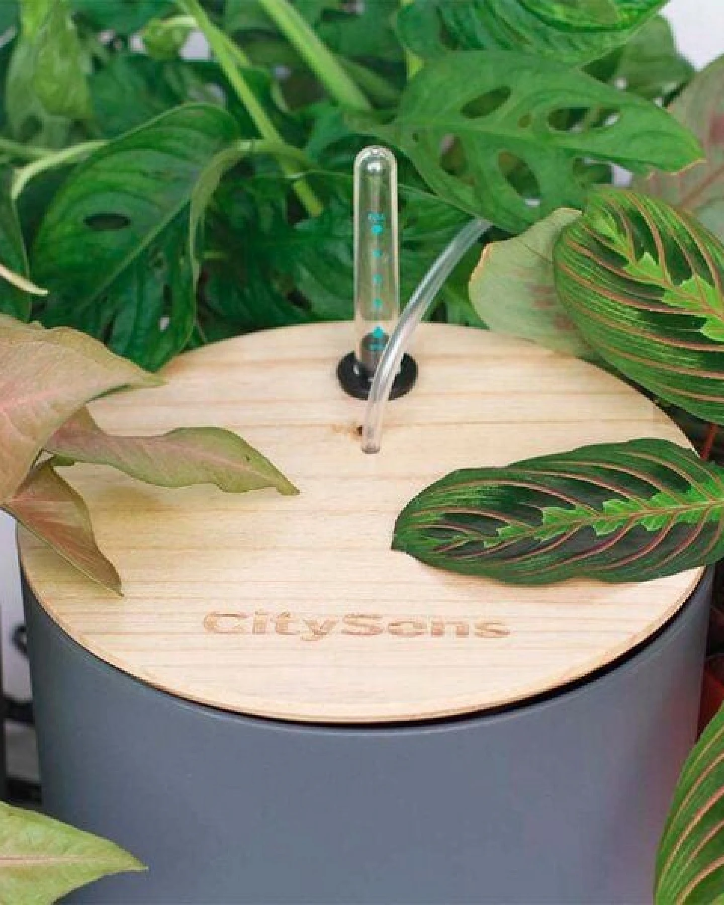 CitySens Blumenregal mit 4 Ablagen und automatischer Bewässerung. – Ansicht 4