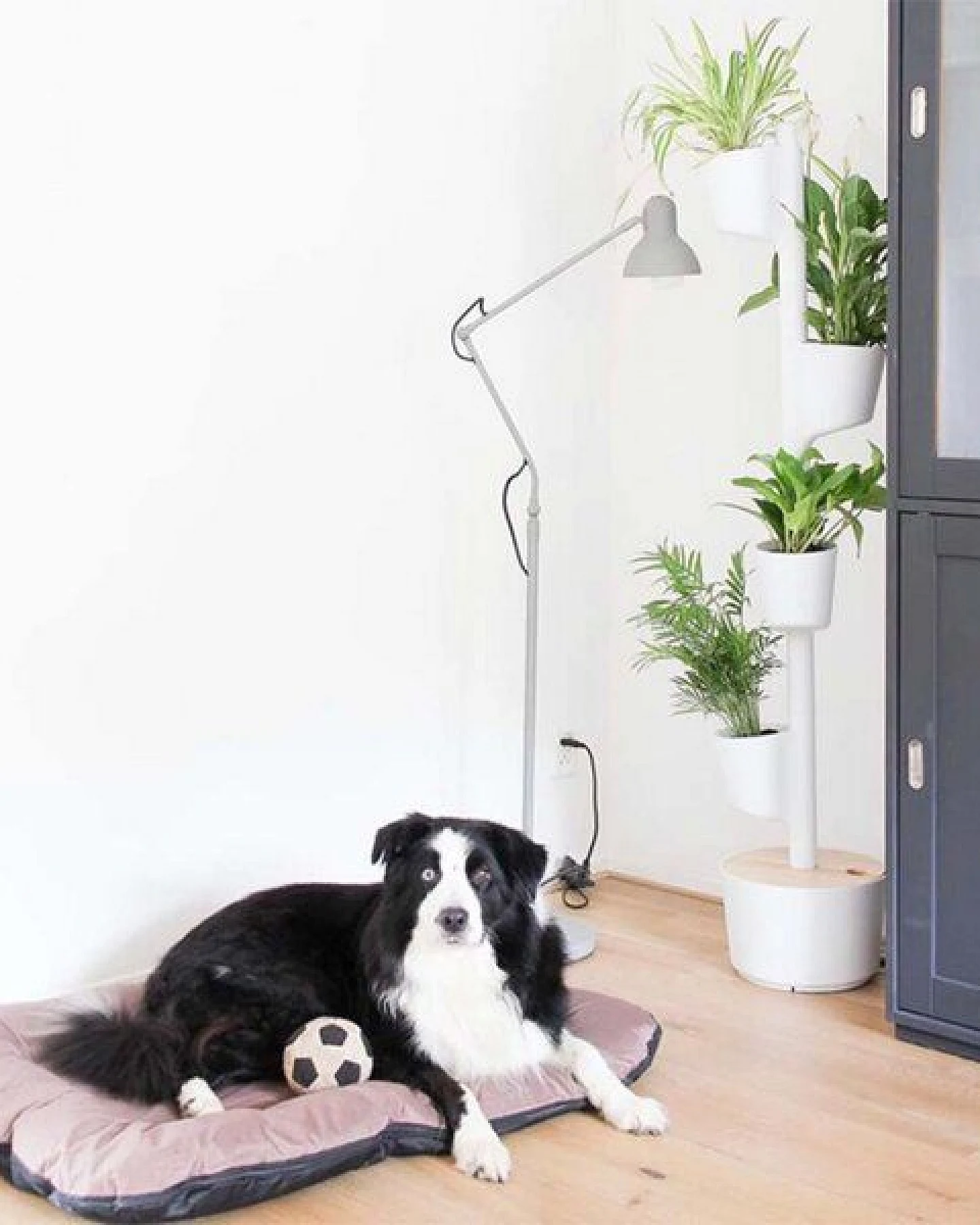CitySens vertikaler Blumentopf mit automatischer Bewässerung; 4 Blumentöpfe – Ansicht 2