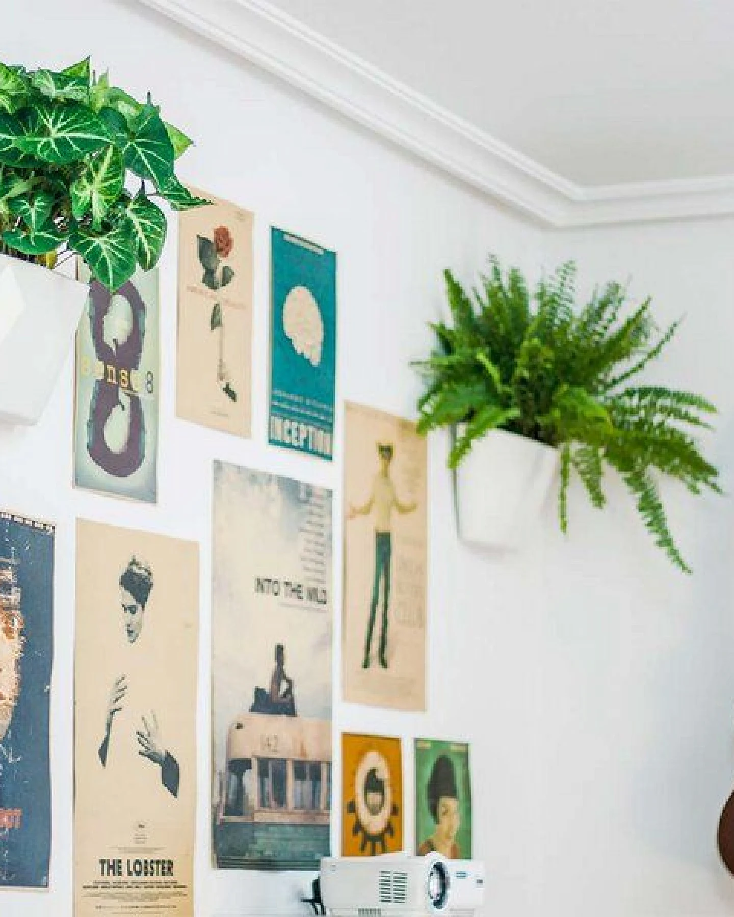 CitySens 3er-Pack Wand-Blumentopf mit automatischer Bewässerung – Ansicht 3