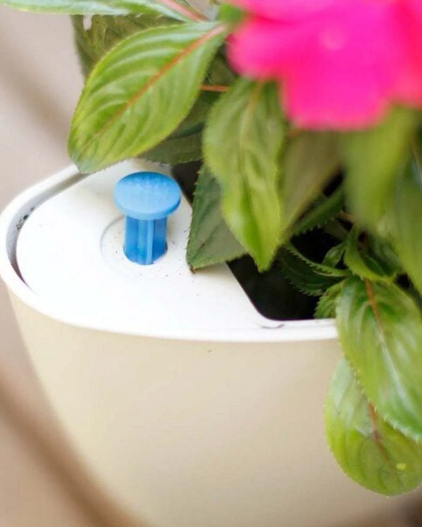 CitySens 3er-Pack Wand-Blumentopf mit automatischer Bewässerung – Ansicht 4